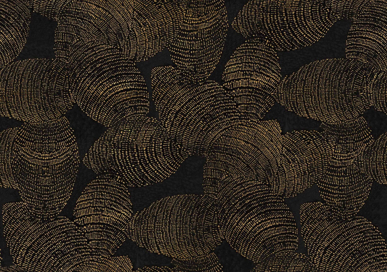 Rif Relief, Night, Coordonne, 5.2mp / rola