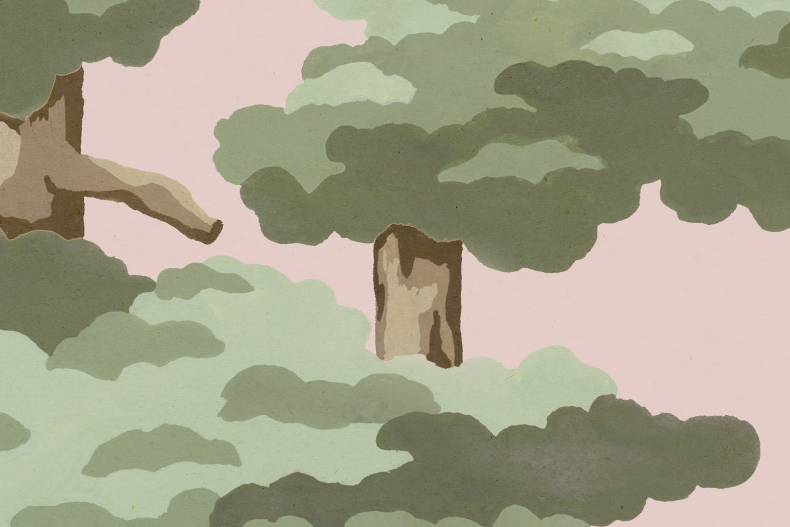 Highland Pines, Pink, Rebel Walls 4
