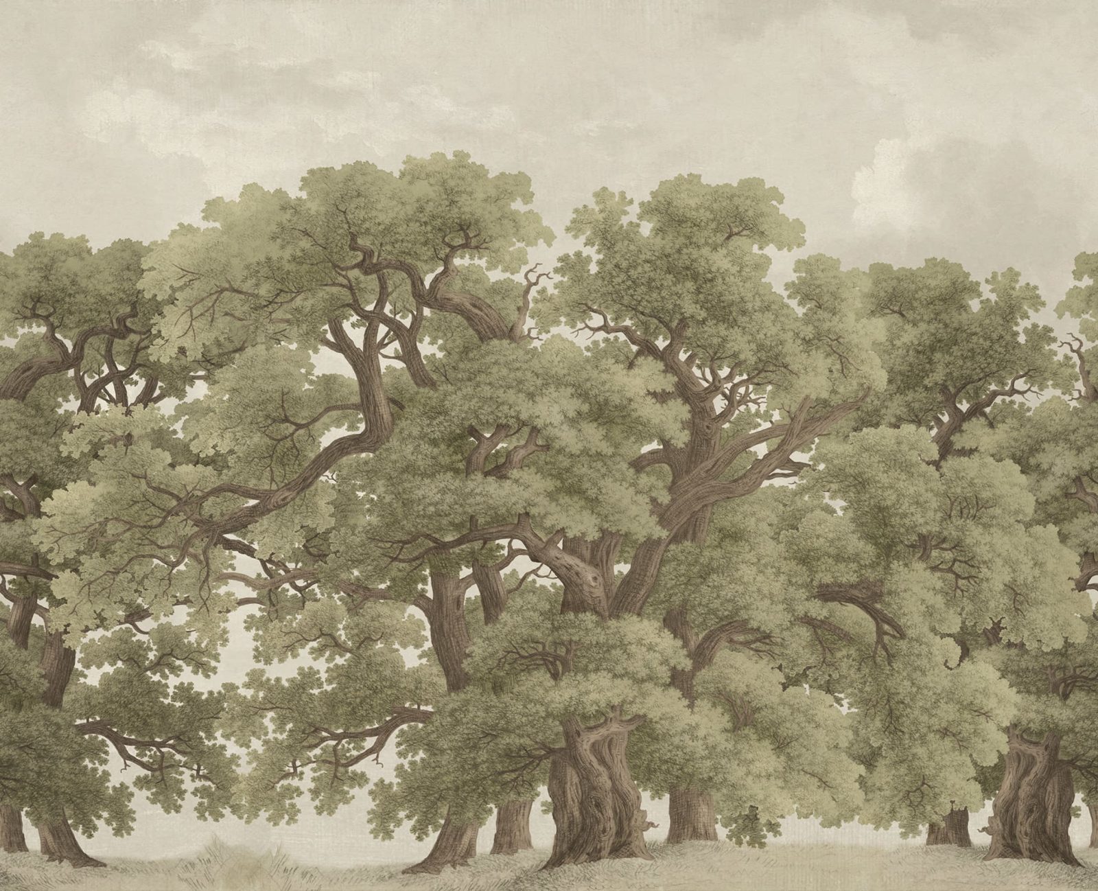 Vintage Oaks, Vintage, Rebel Walls
