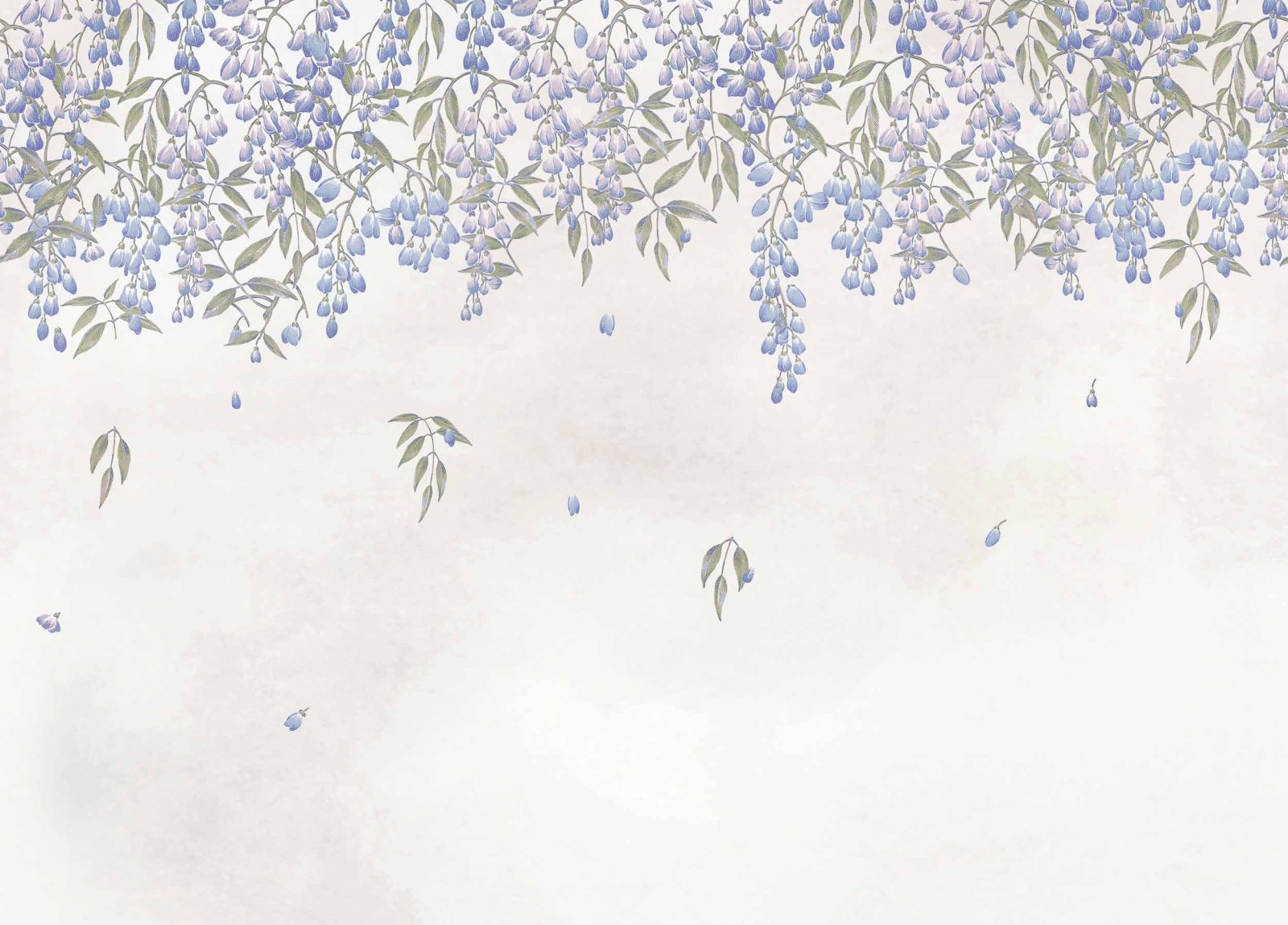 Manuela, Lilac, Coordonne