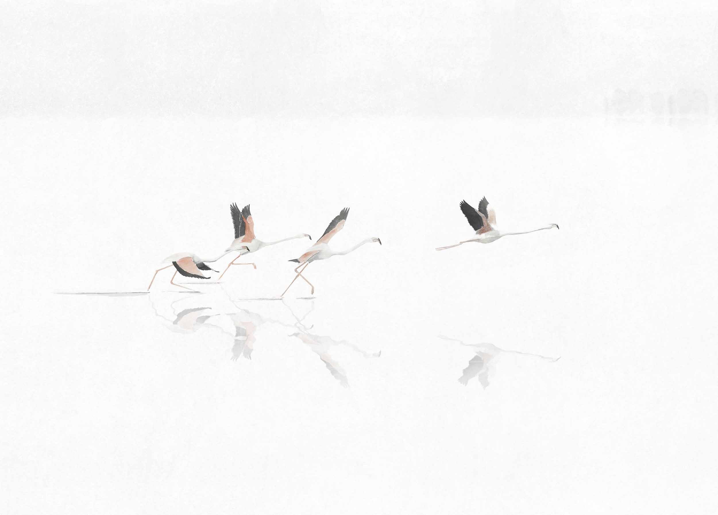 Doñana, Swan, Coordonne