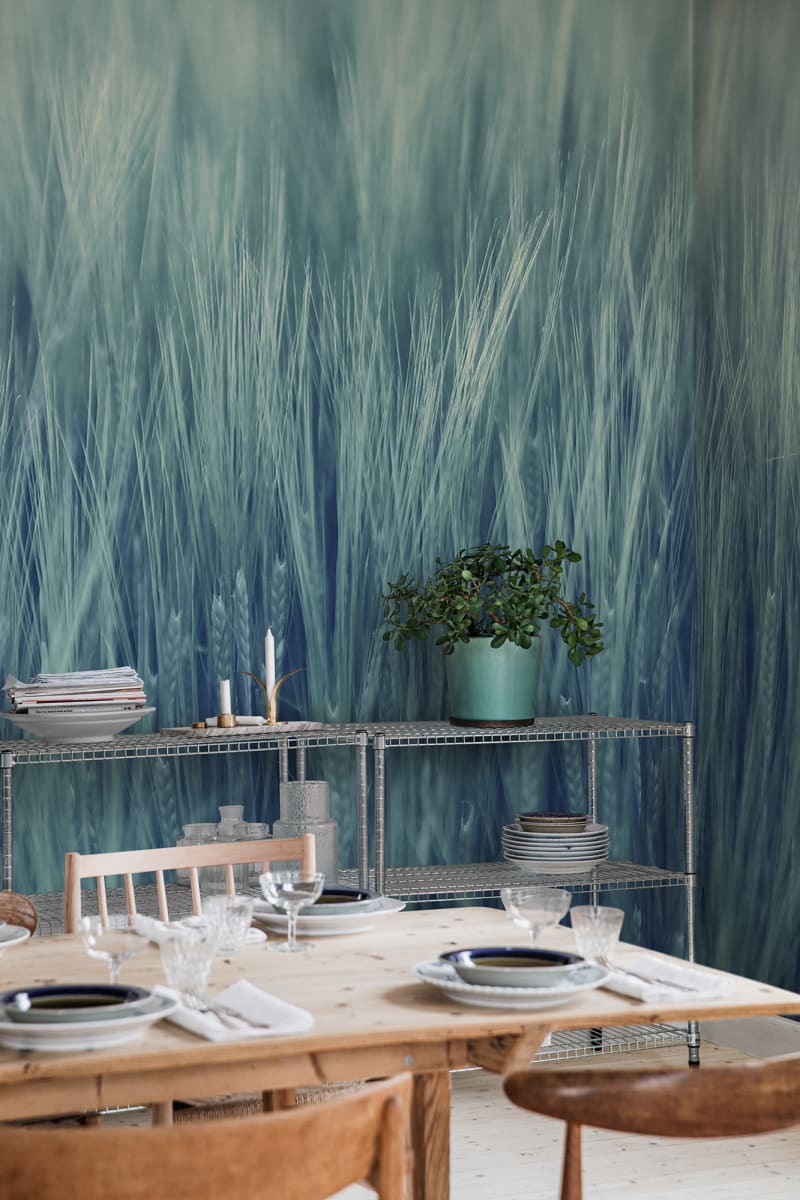 Rye Field, Turquoise, Rebel Walls 2