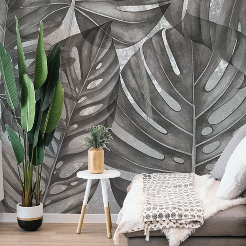 Grey Philodendron, VLAdiLA 4