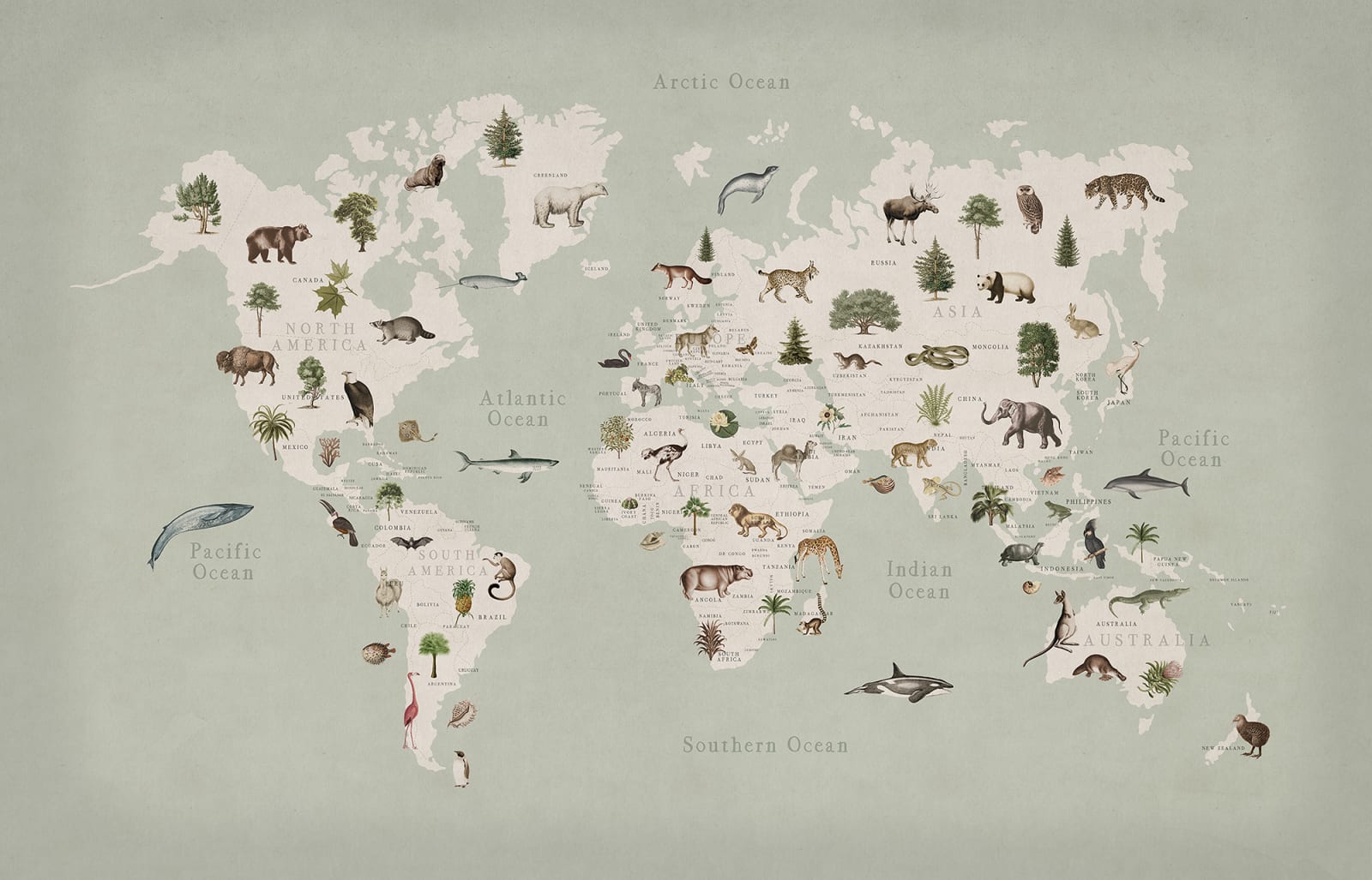 Animal World, Mint, Rebel Walls