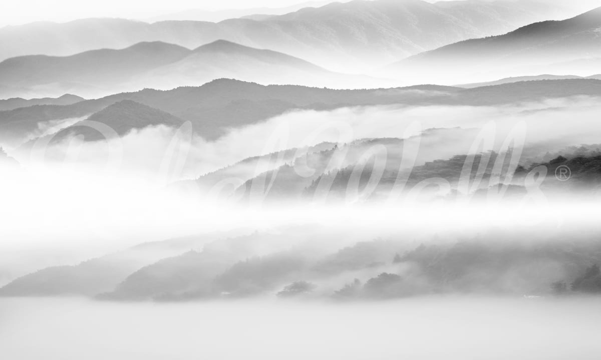 Calm Mountains, Rebel Walls