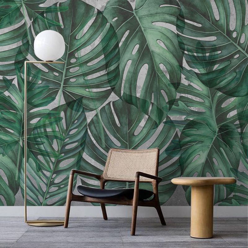Green Philodendron, VLAdiLA 2