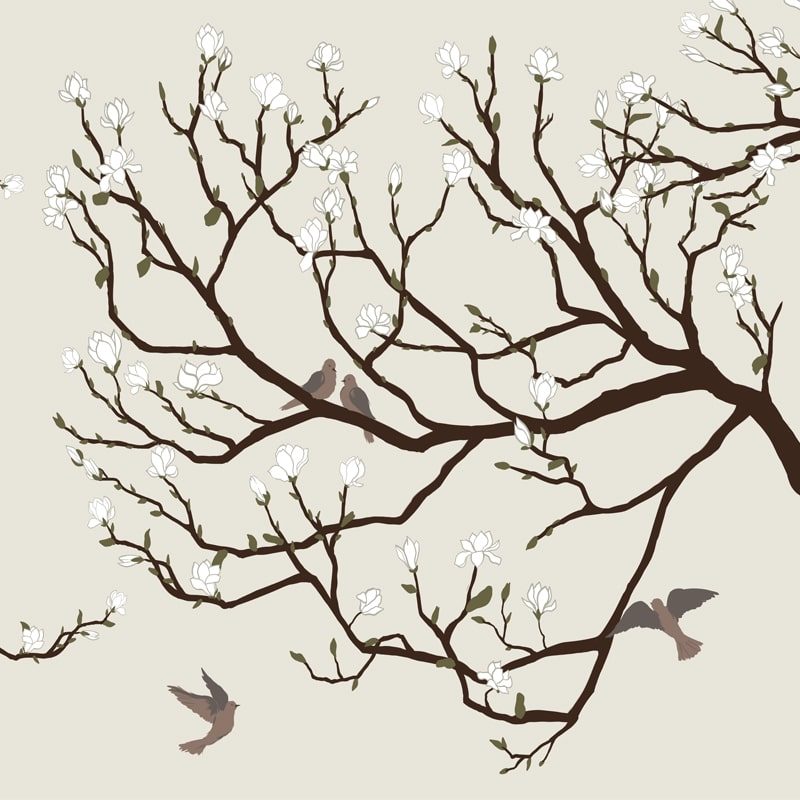 Doves at my window, VLAdiLA