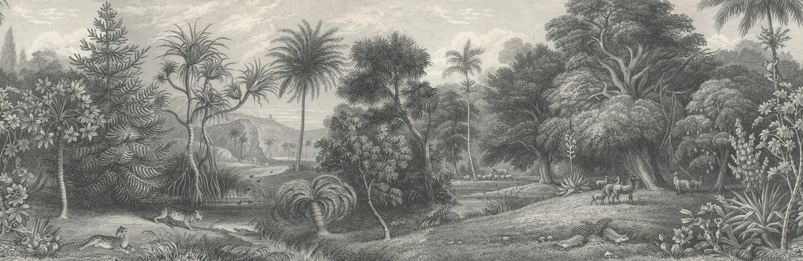 Jungle Land, Vintage, Rebel Walls