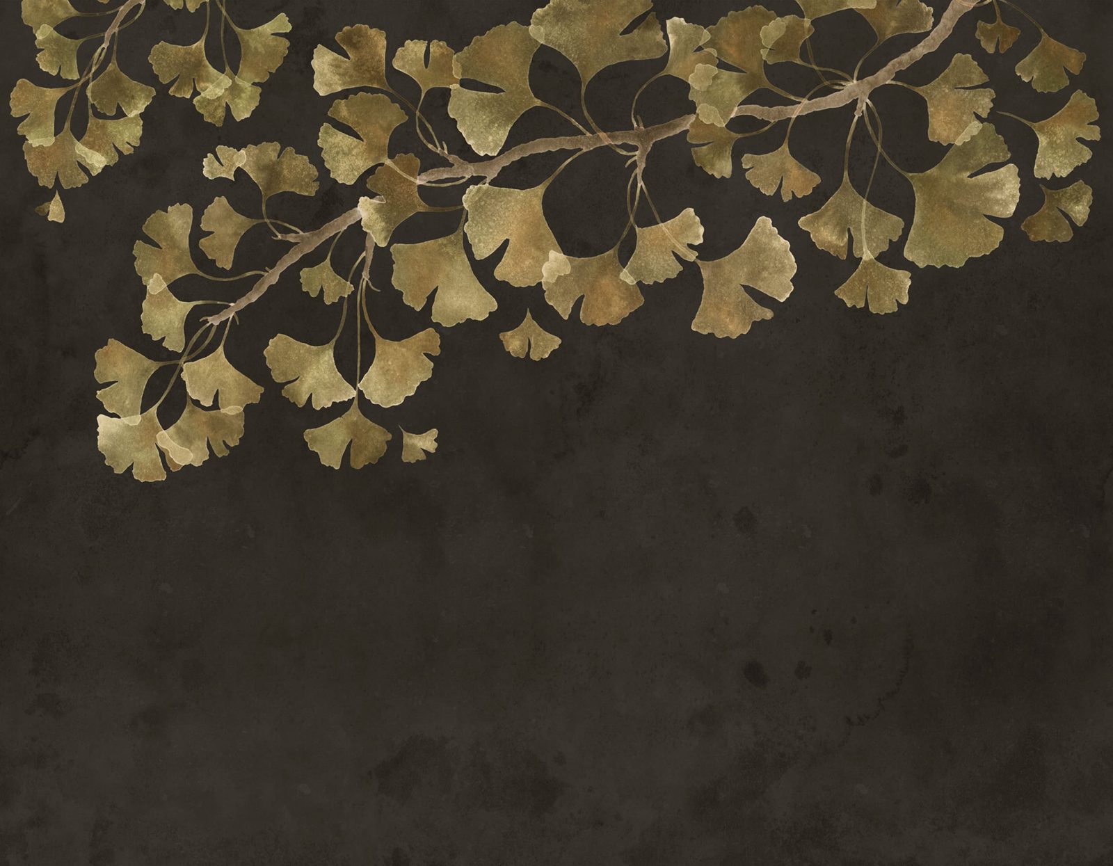 Maidenhair Tree, Black, Rebel Walls