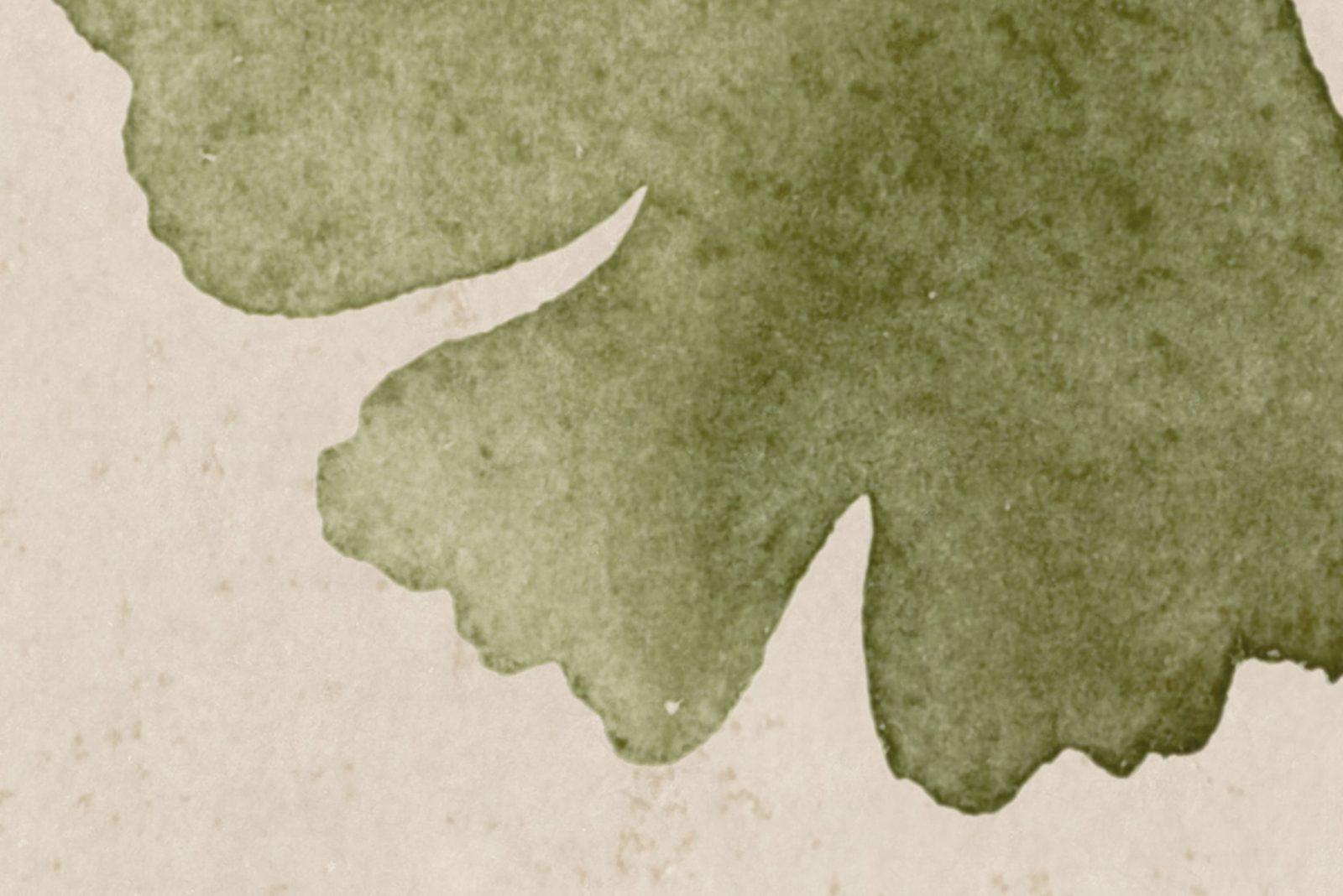 Maidenhair Tree, Light Green, Rebel Walls 4