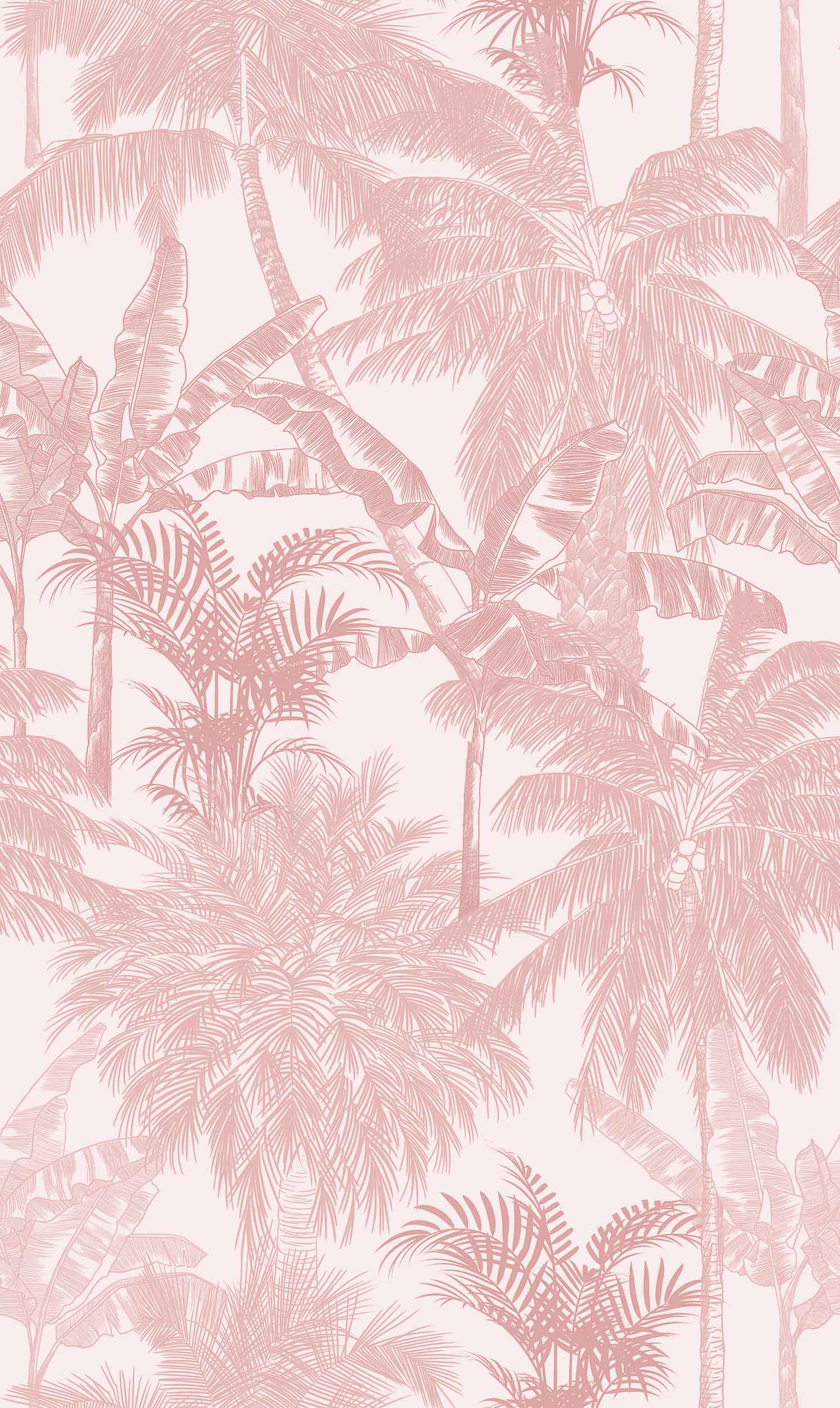 Palms, Quarzo, Coordonne, 5mp / rola