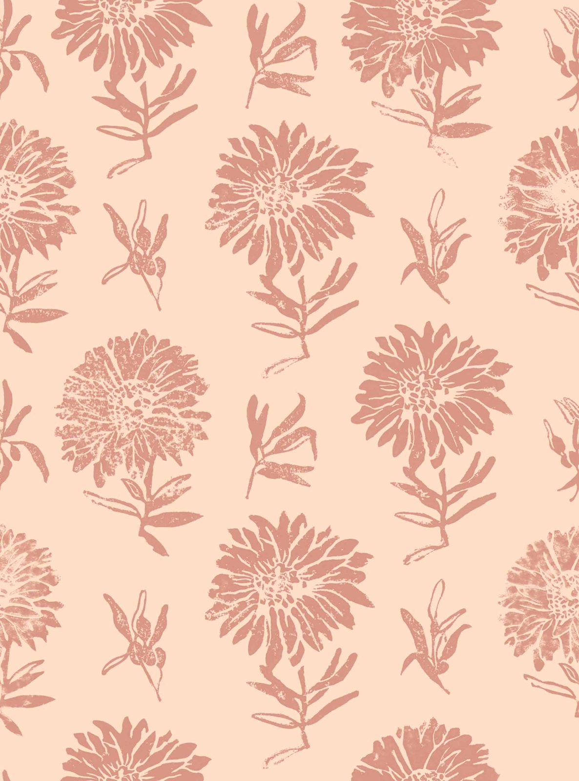 Parterre, Rosa, Coordonne 5mp / rola