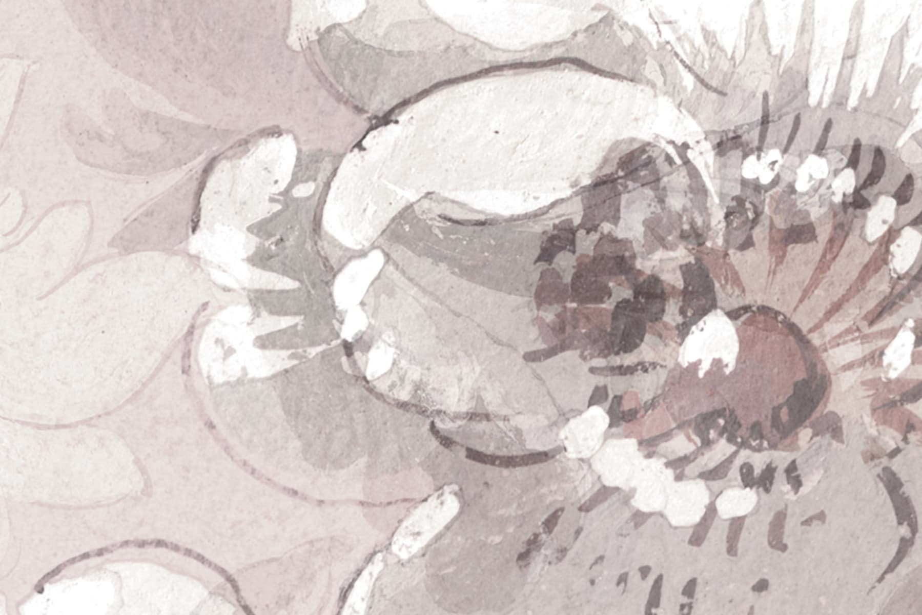 Roses, Pink, Rebel Walls 3