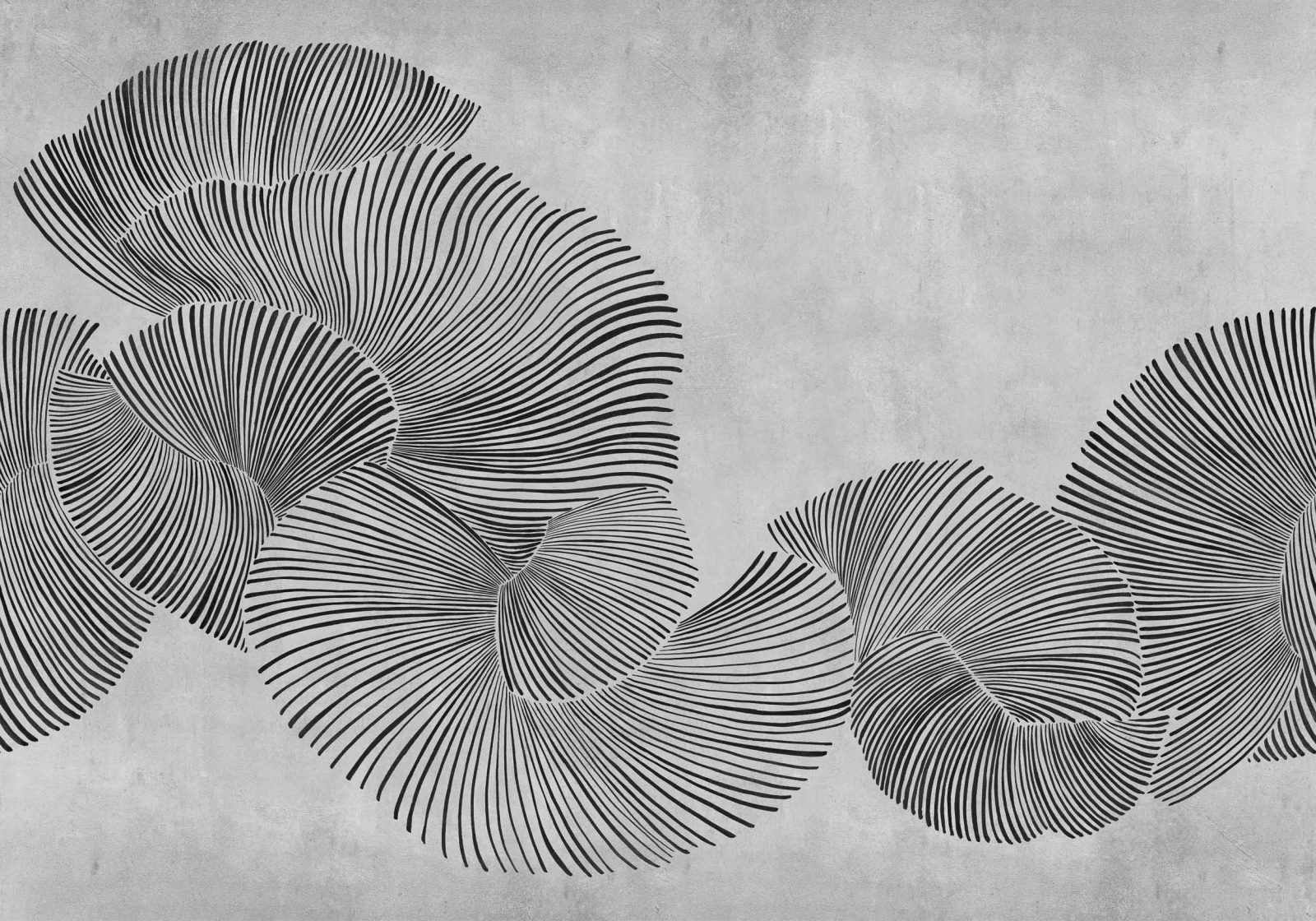 Diving Moment, Black, Coordonne