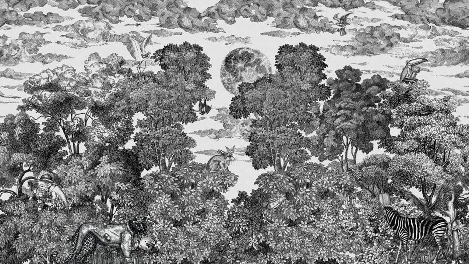 Bellewood under the Moon, Graphite, Rebel Walls