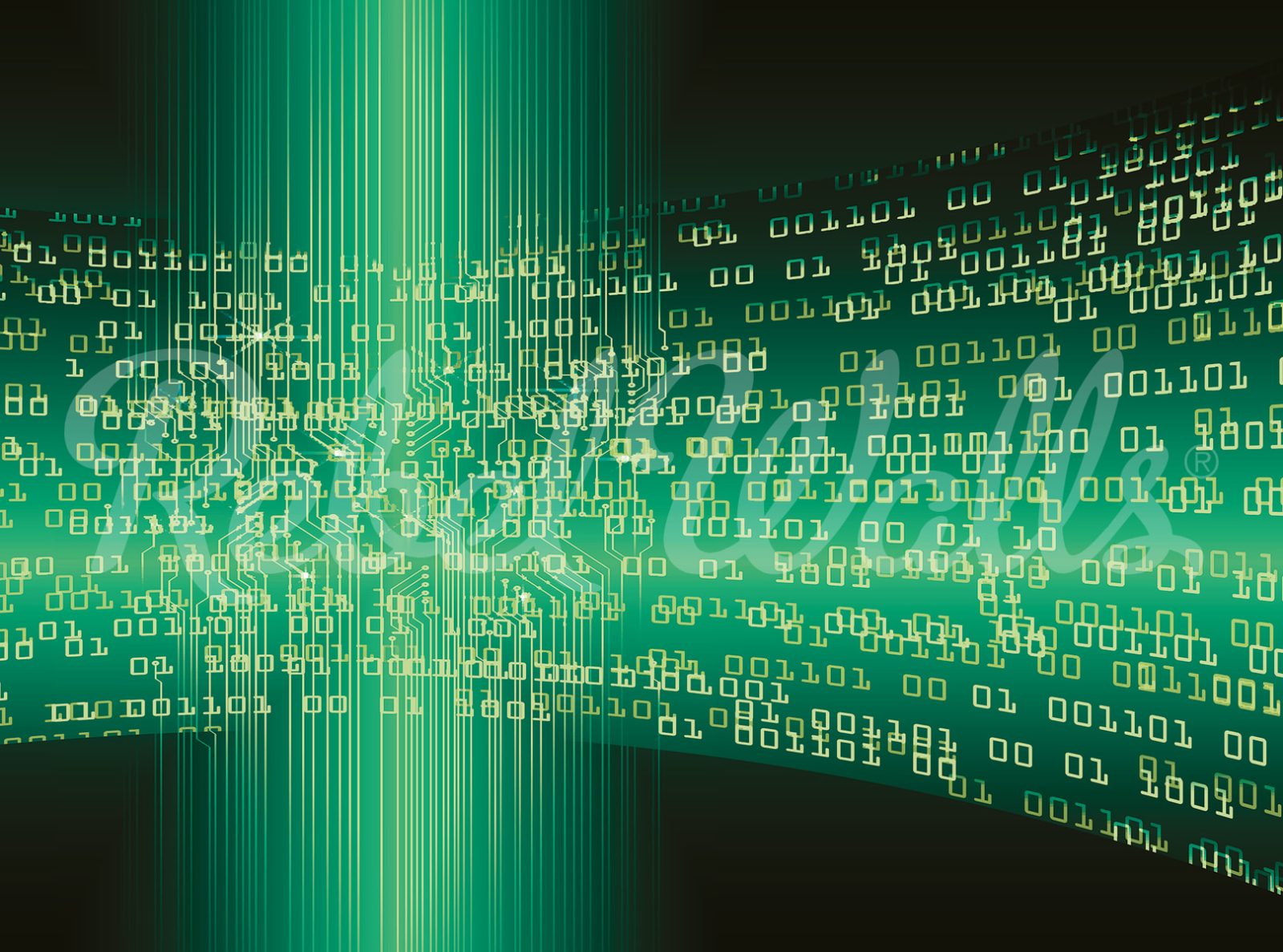 Code, Green, Rebel Walls