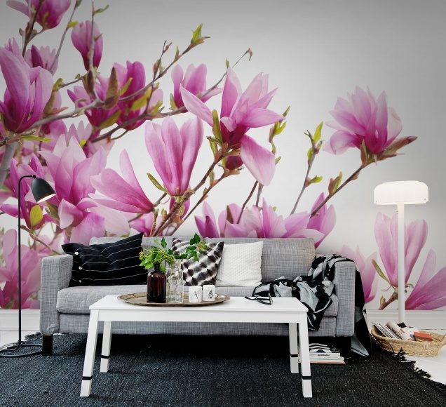 Magnolia, Rebel Walls 2