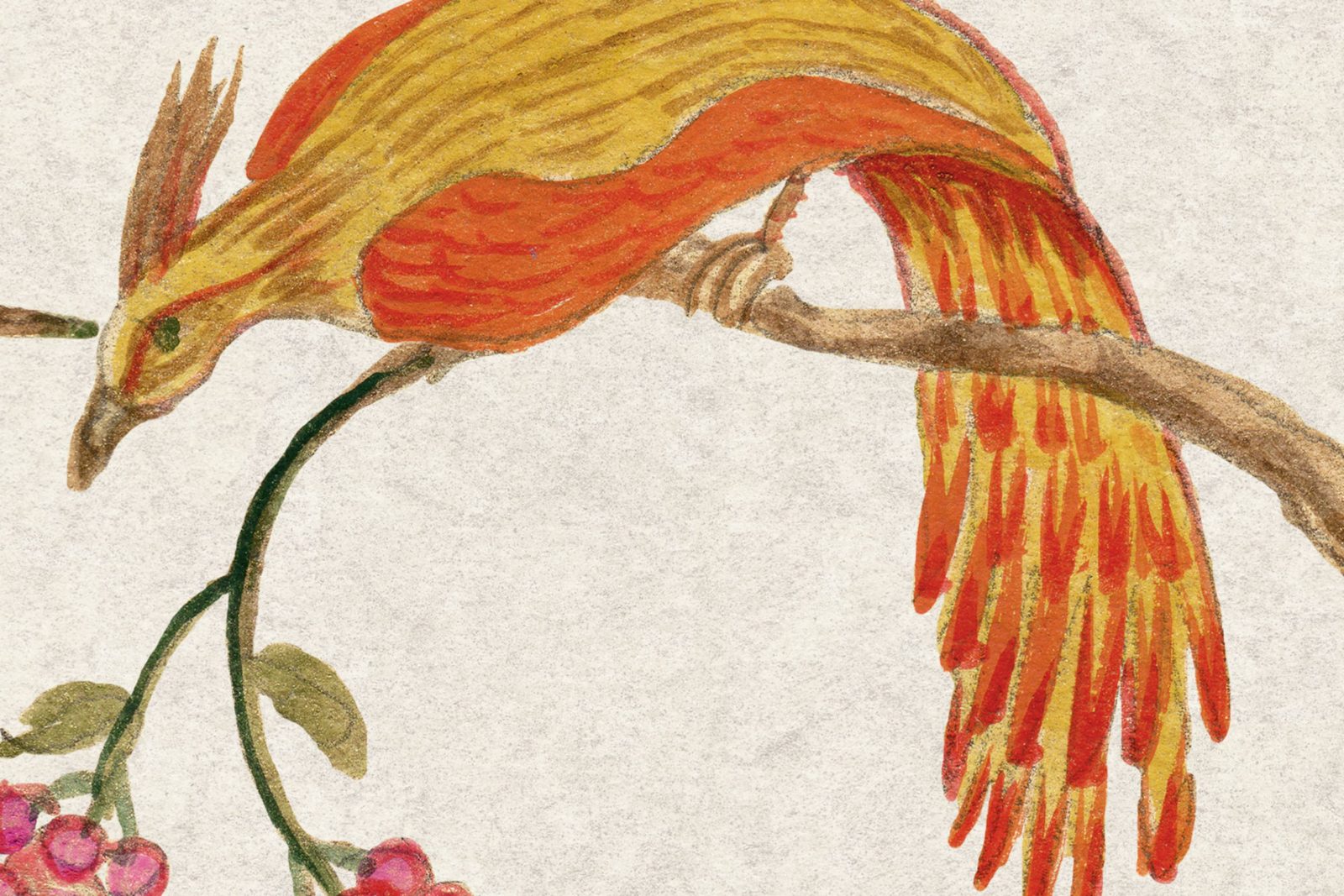 Songbirds, Pearl, Rebel Walls 4