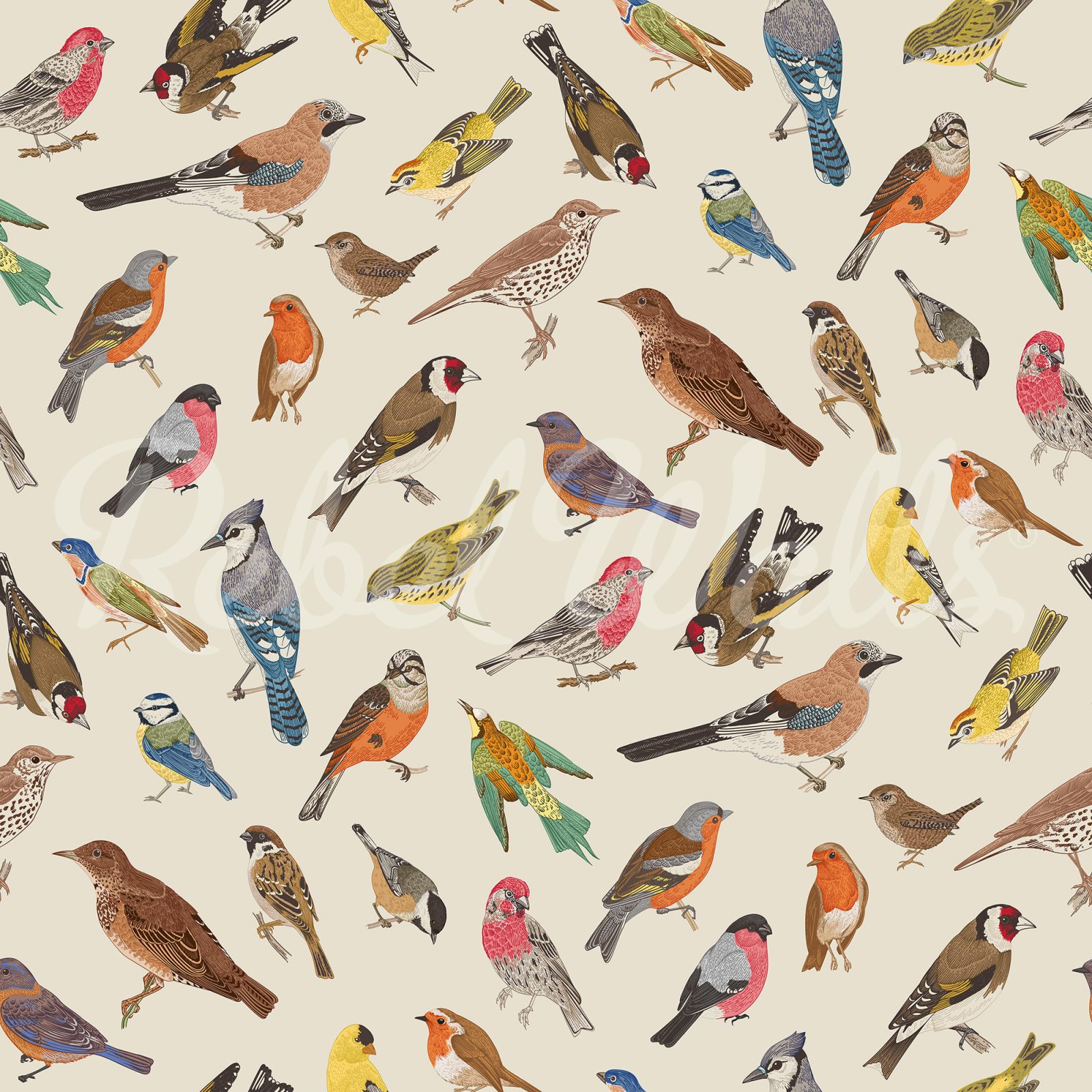 Birdsong Bliss, Multi, Rebel Walls