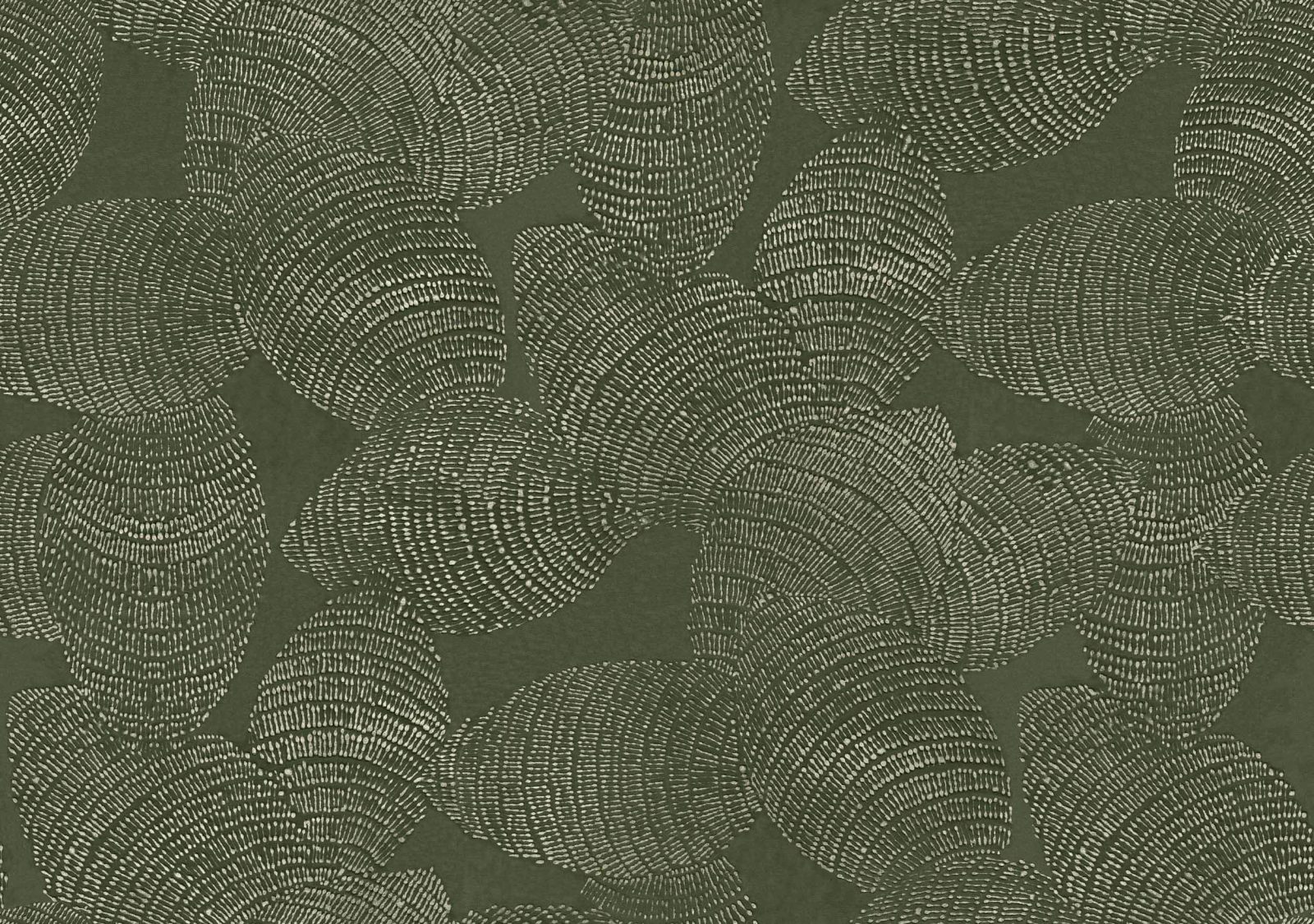 Rif Relief, Sage, Coordonne, 5.2mp / rola