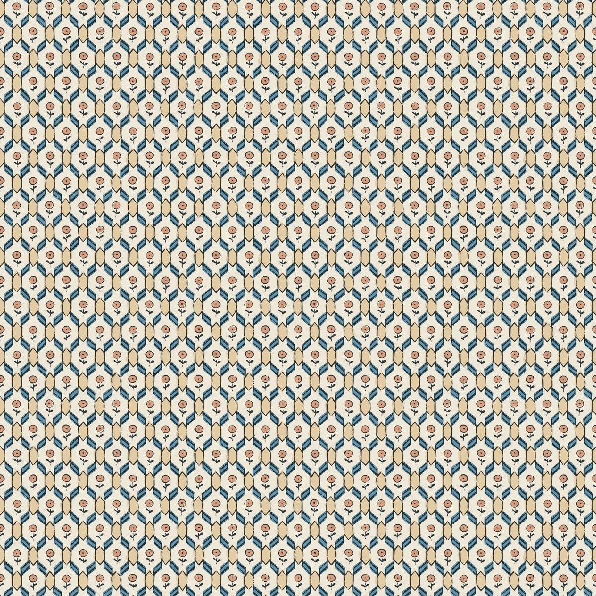 Hugo Terracotta, Sandberg, 5.3mp / rola