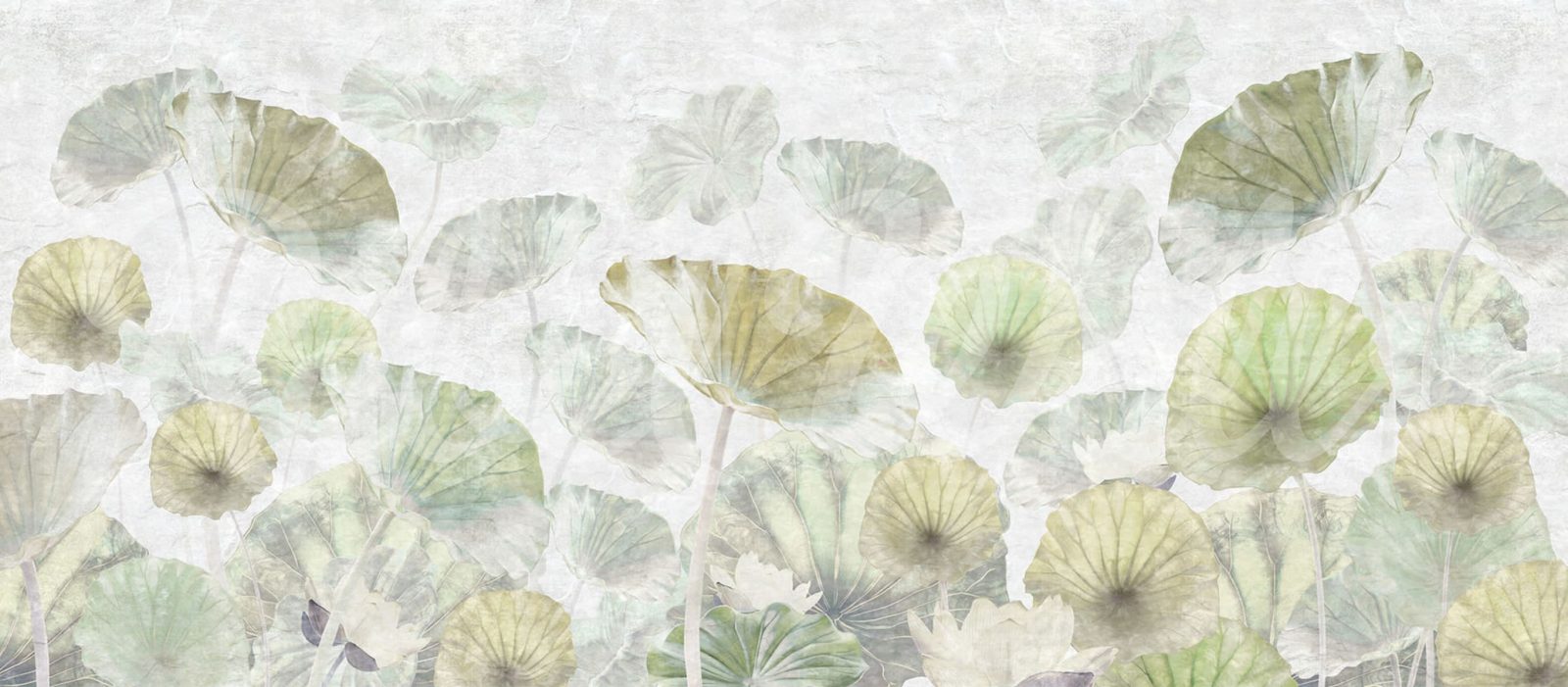 Waterlily, Rebel Walls