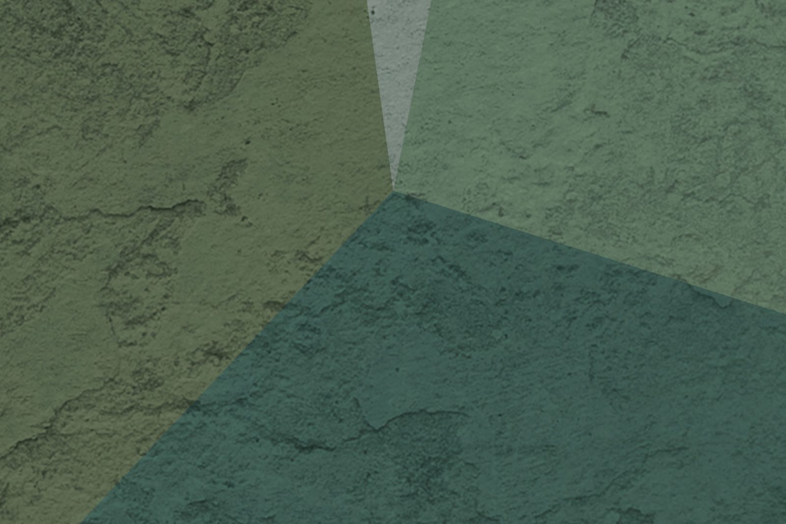 Crystal, Moss, Rebel Walls 4