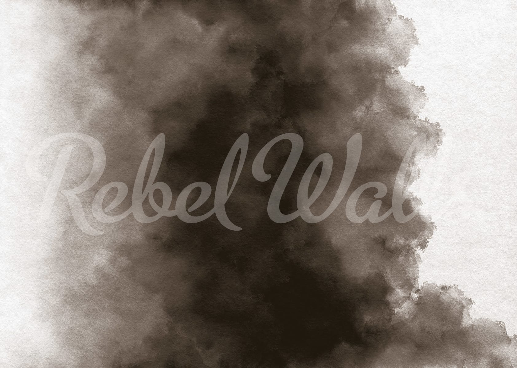 Color Flow, Ash, Rebel Walls