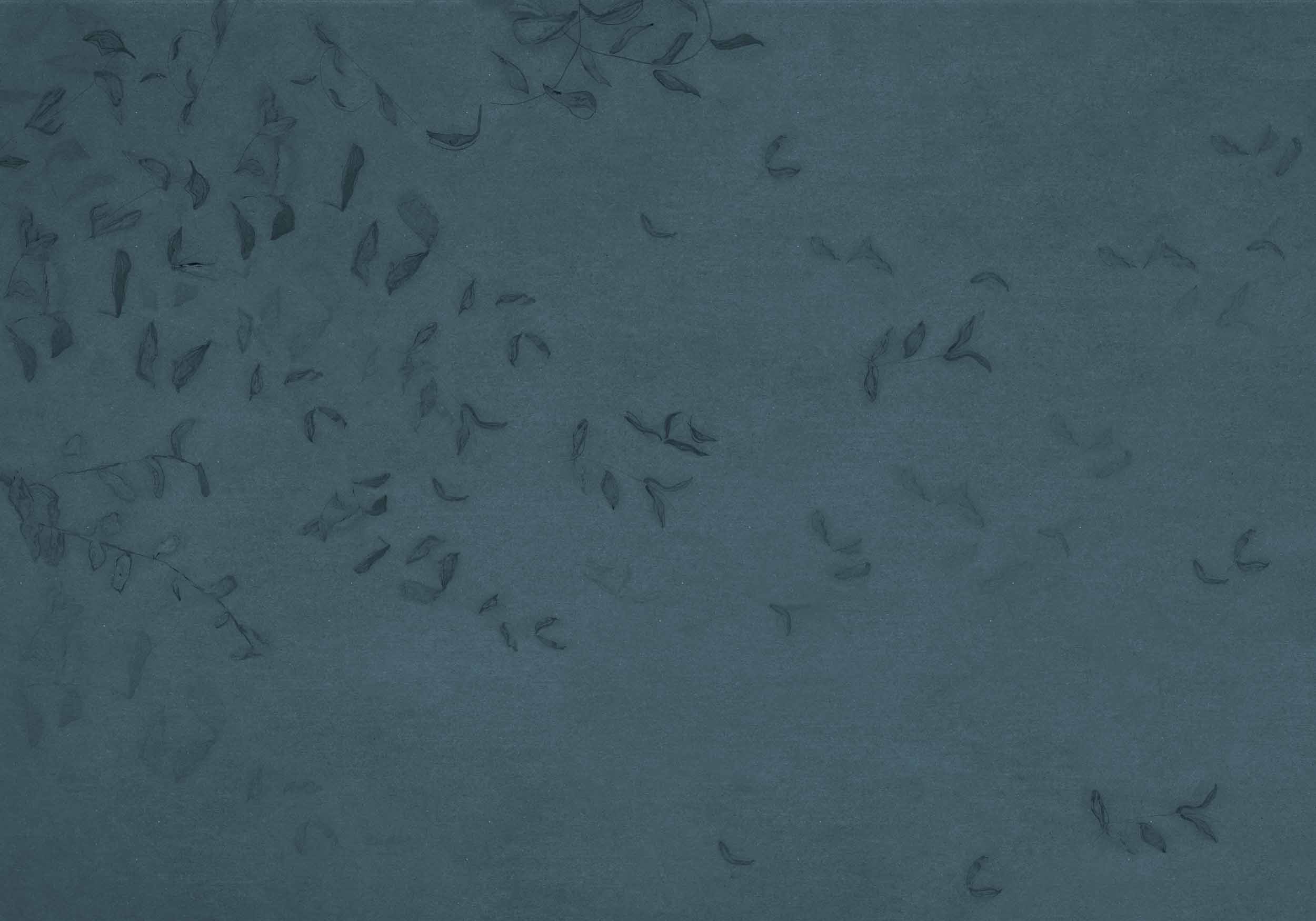 Leaves Reflection, Blue, Coordonne