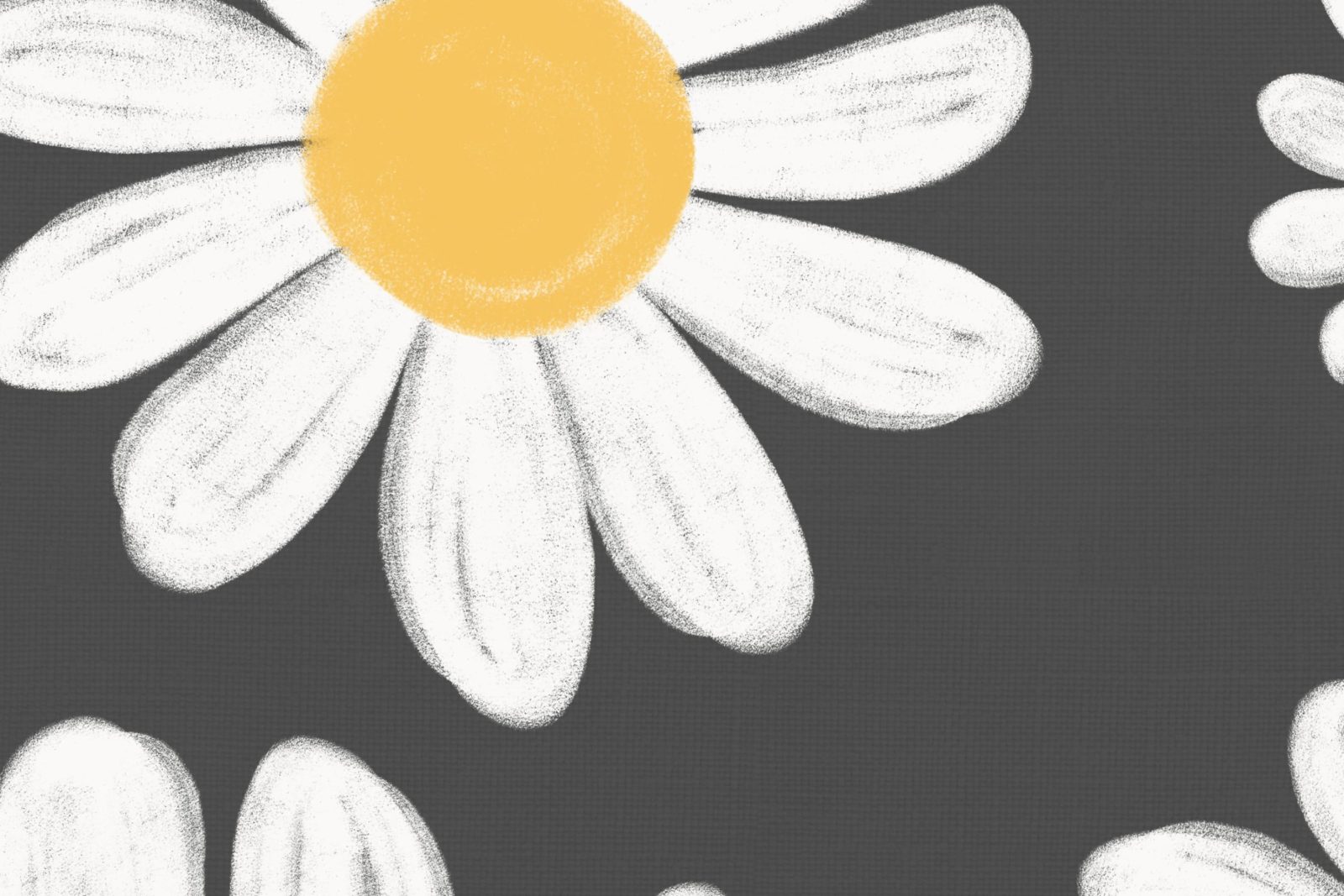Dashing Daisies, Midnight, Rebel Walls 4