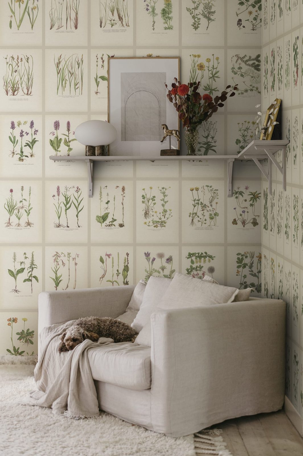 Botanica, Oat, Sandberg 2
