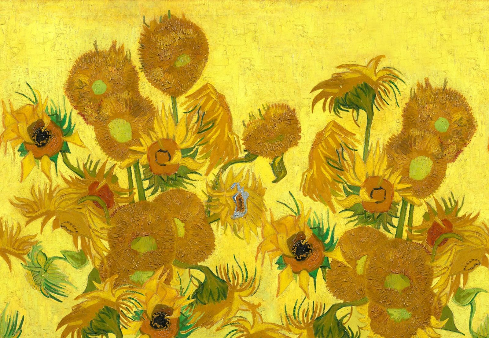 Sunflowers Repeatable, Yellow, Rebel Walls