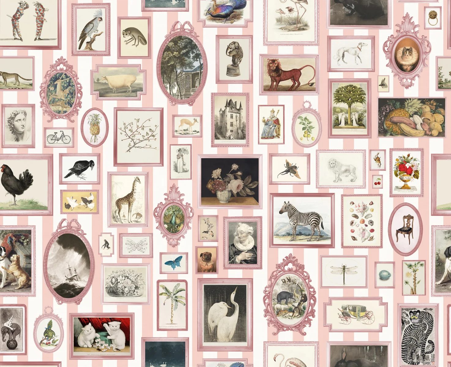 Vintage Frames, Pink, Rebel Walls