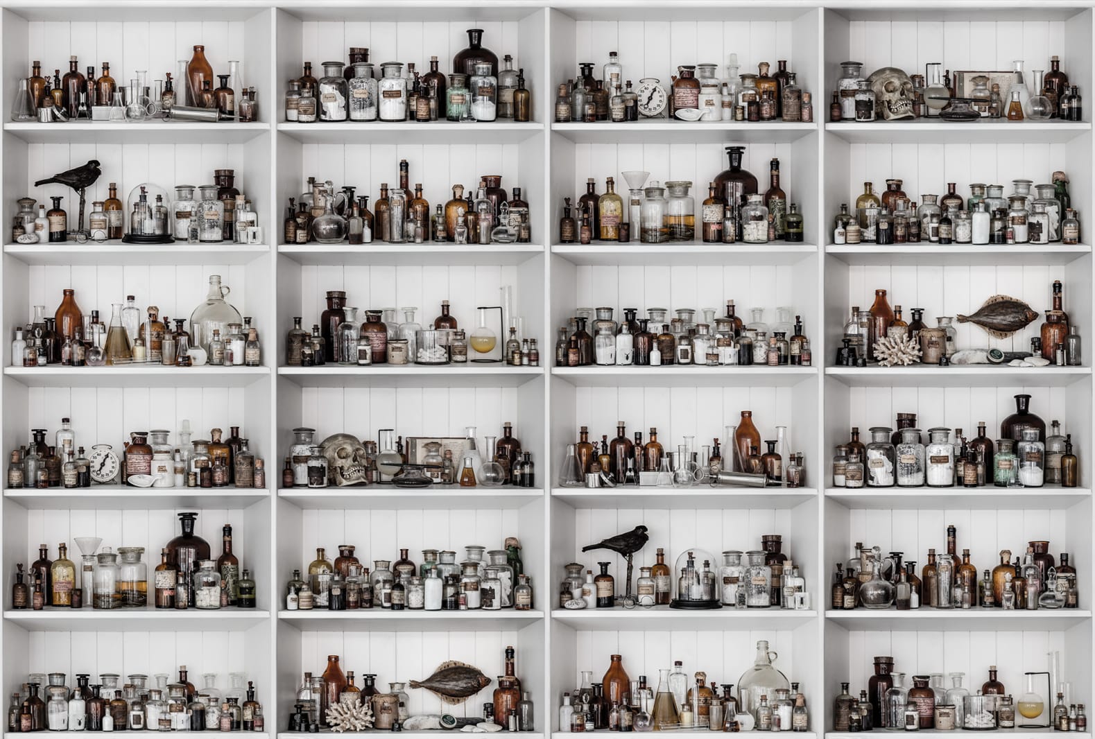 3D Cabinet of Curios, Raw, Rebel Walls