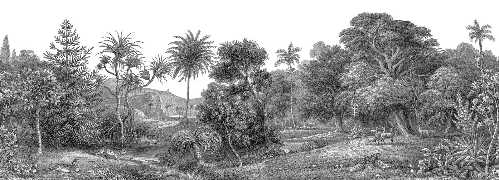 Jungle Land, Rebel Walls