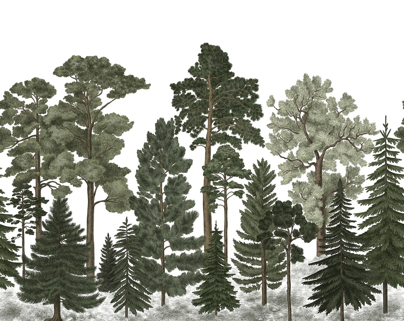 Scandinavian Bellewood, Rebel Walls