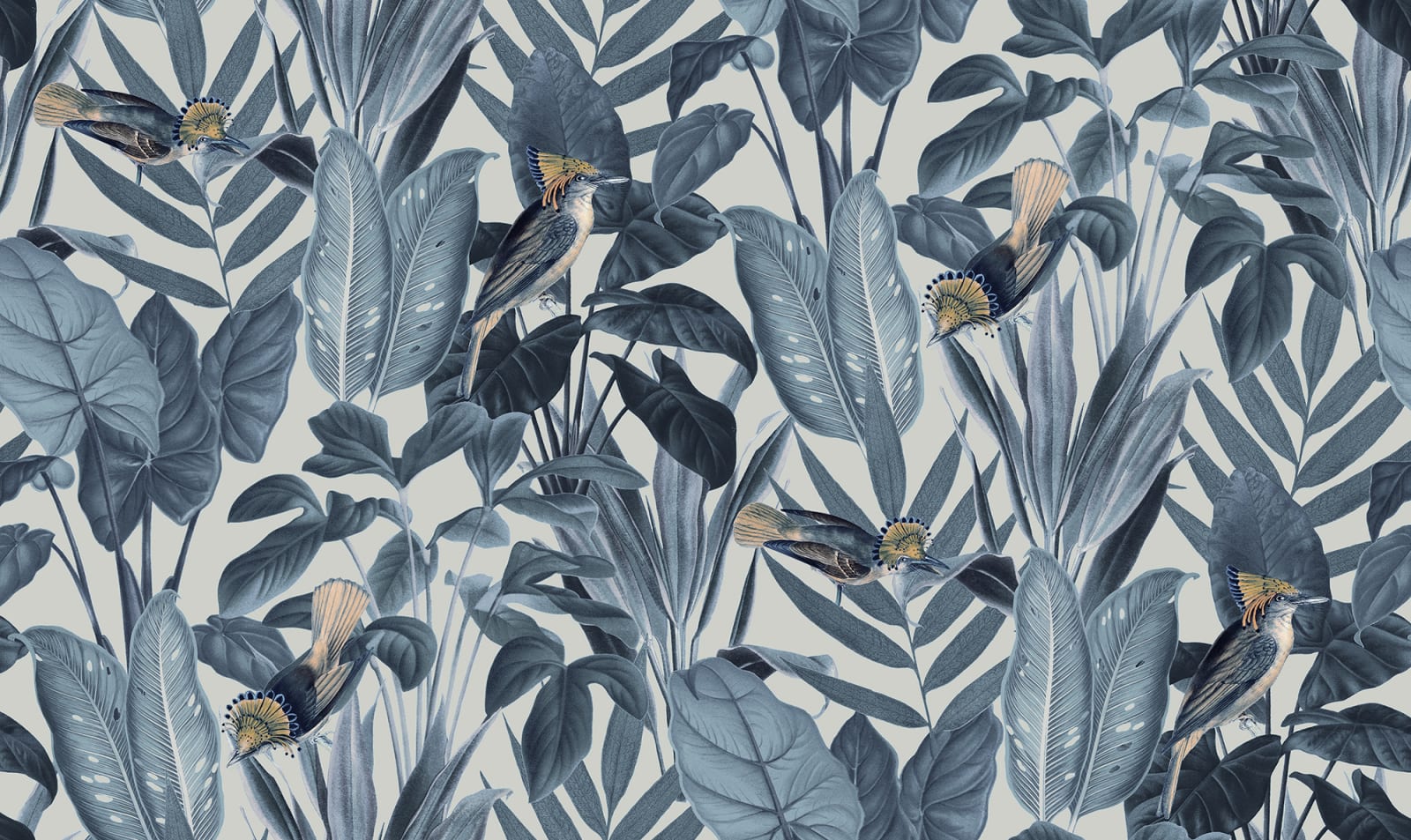 Birds of Paradise, Nightfall, Rebel Walls, 5 mp / rola