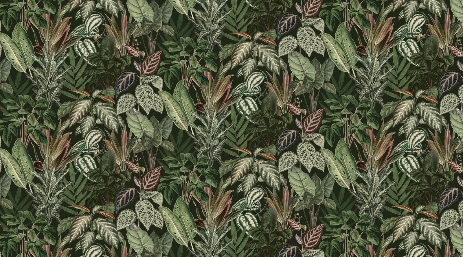 Mischievous Monkeys, Lush, Rebel Walls
