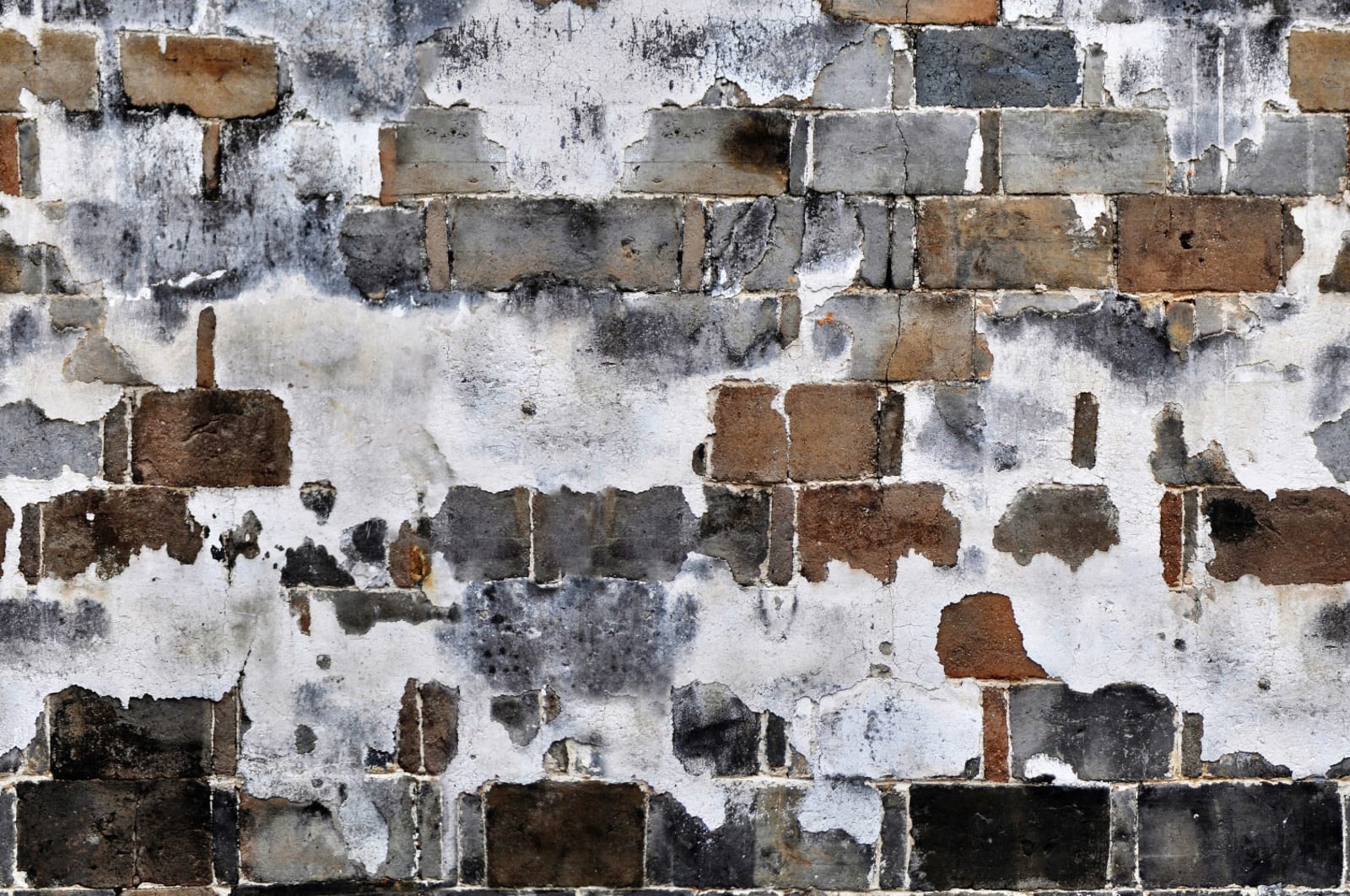 Slurry Wall, Rebel Walls