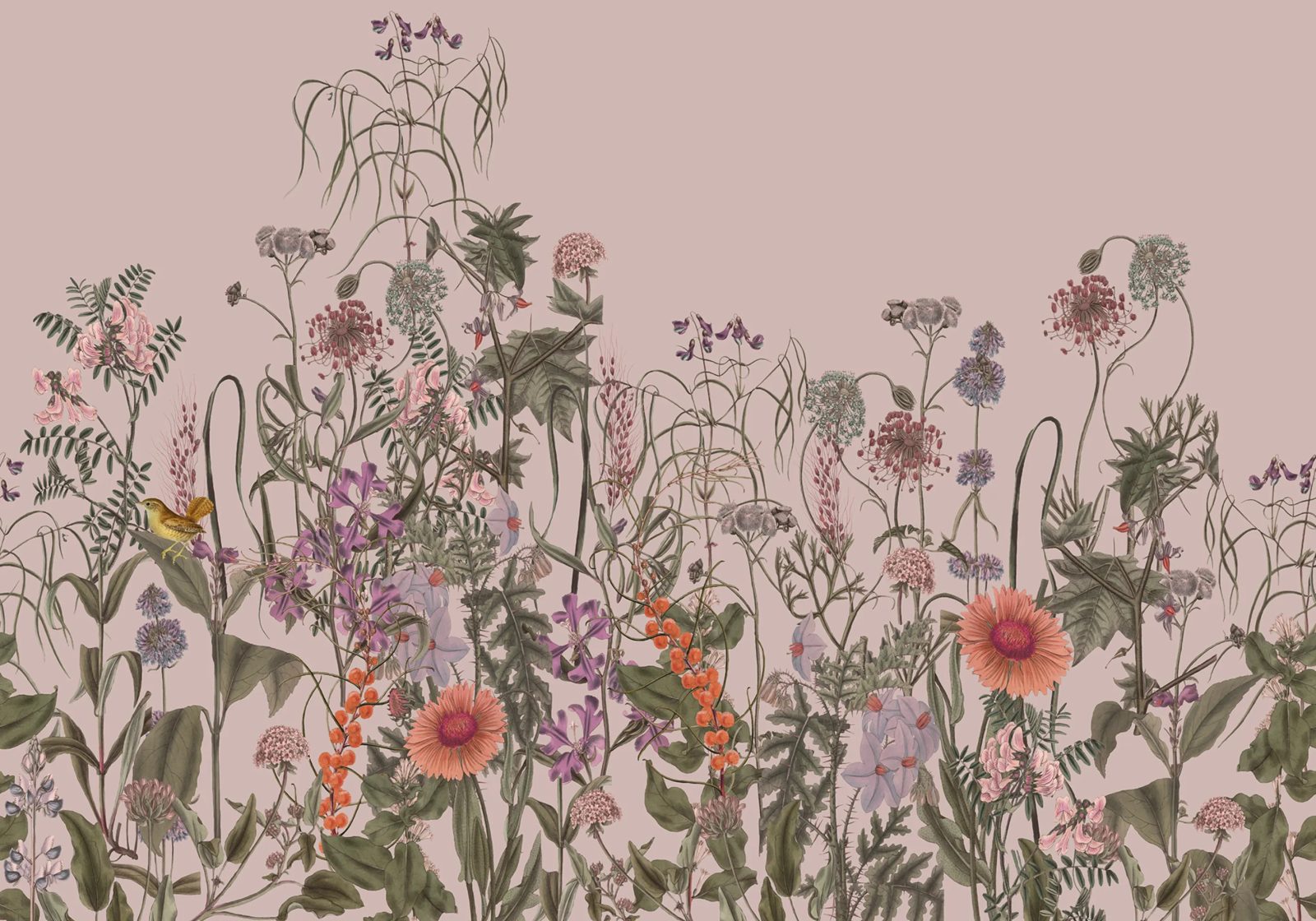 Springmeadow, Pink, Rebel Walls