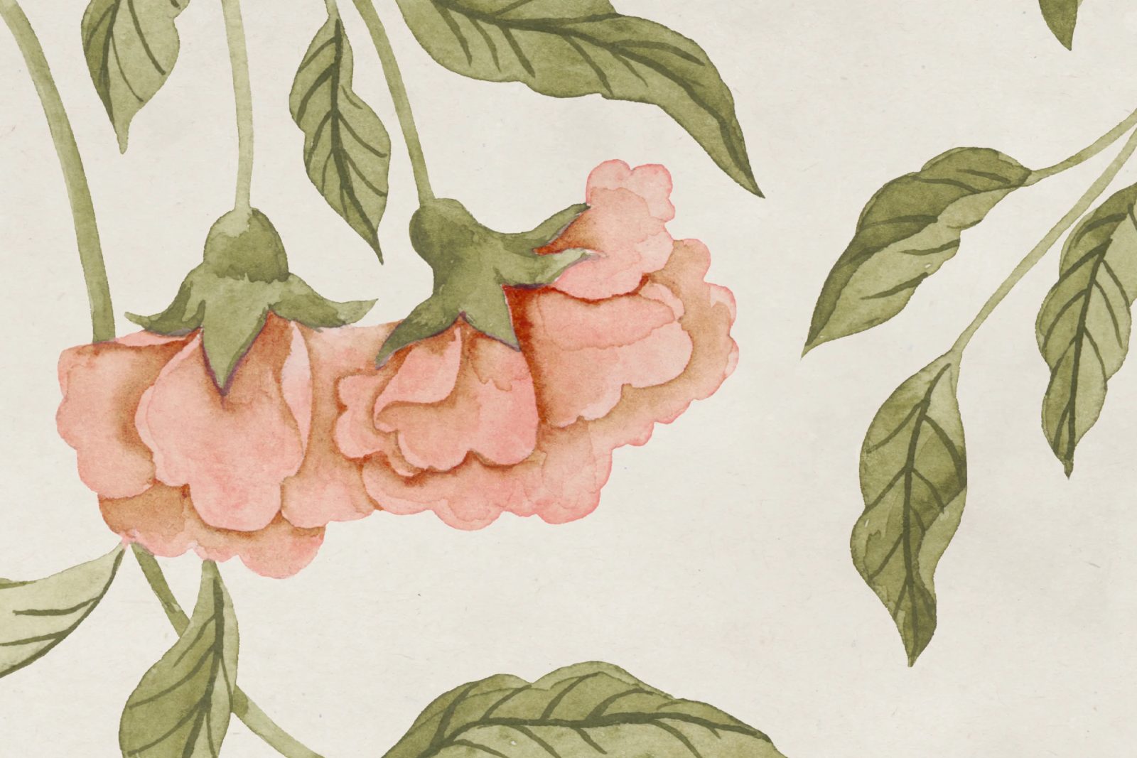 Peony Bloom, Pink, Rebel Walls 4