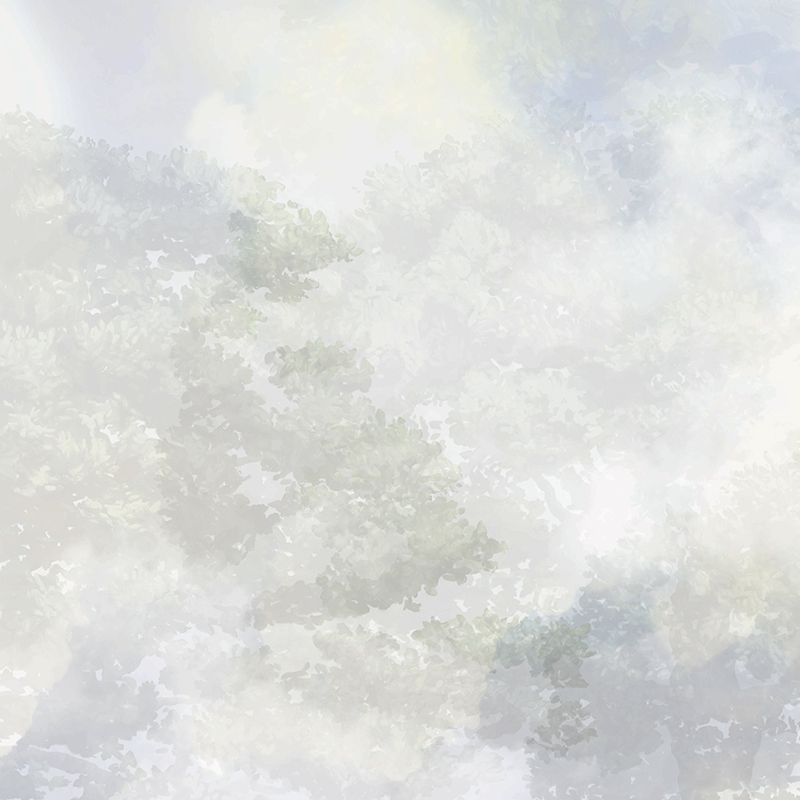Looking up, VLAdiLA 3