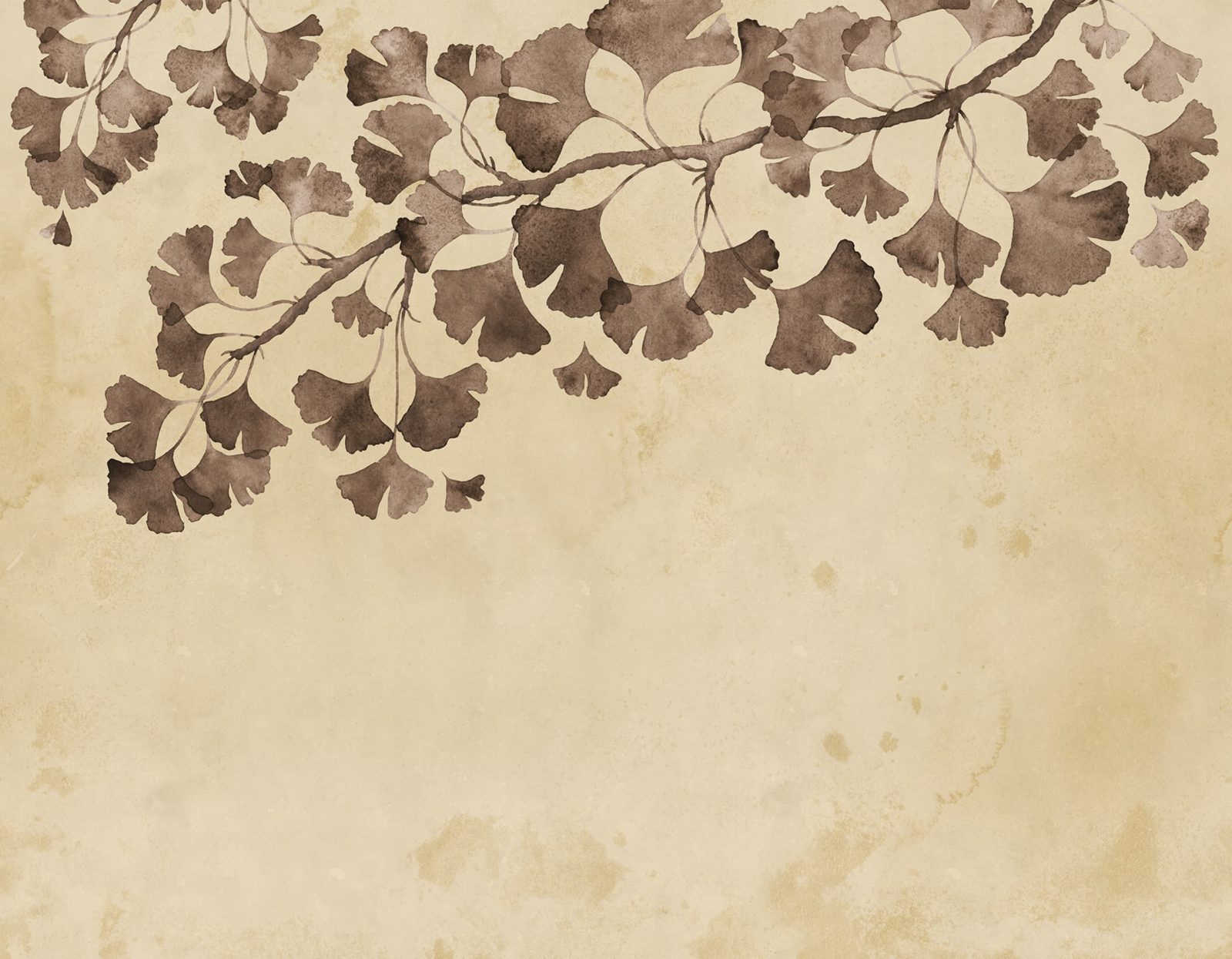 Maidenhair Tree, Brown, Rebel Walls