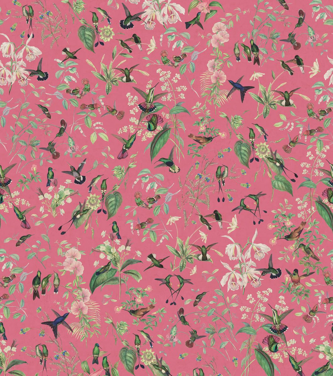 Hummingbird, Cerice, Rebel Walls