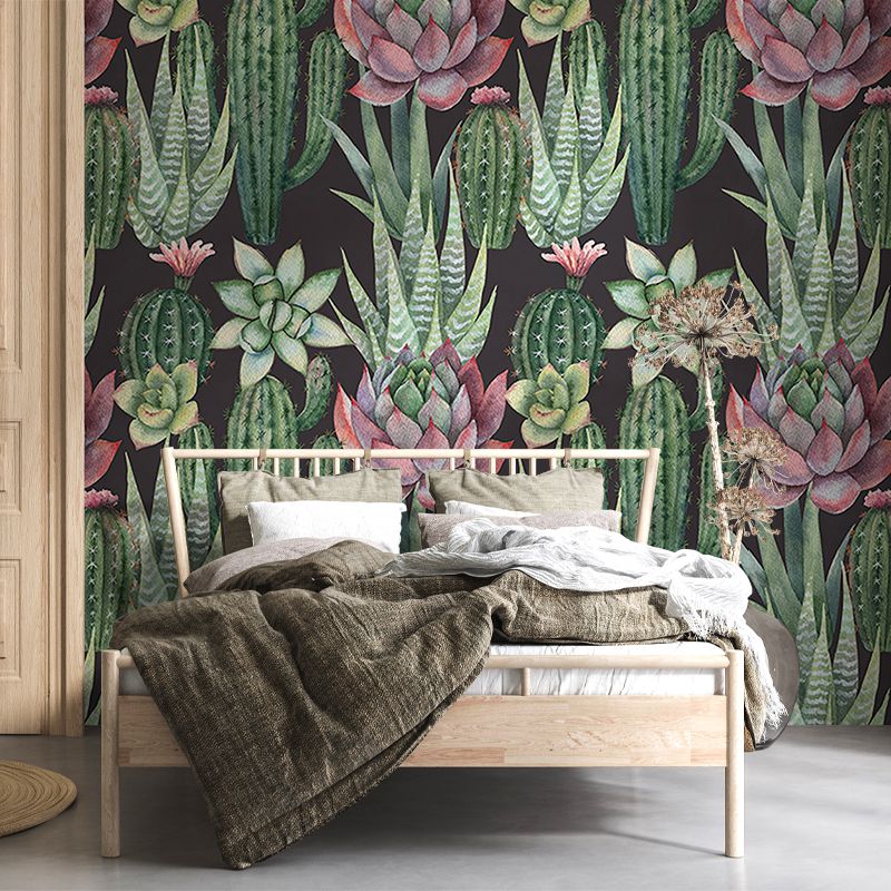 Succulents, VLAdiLA 4