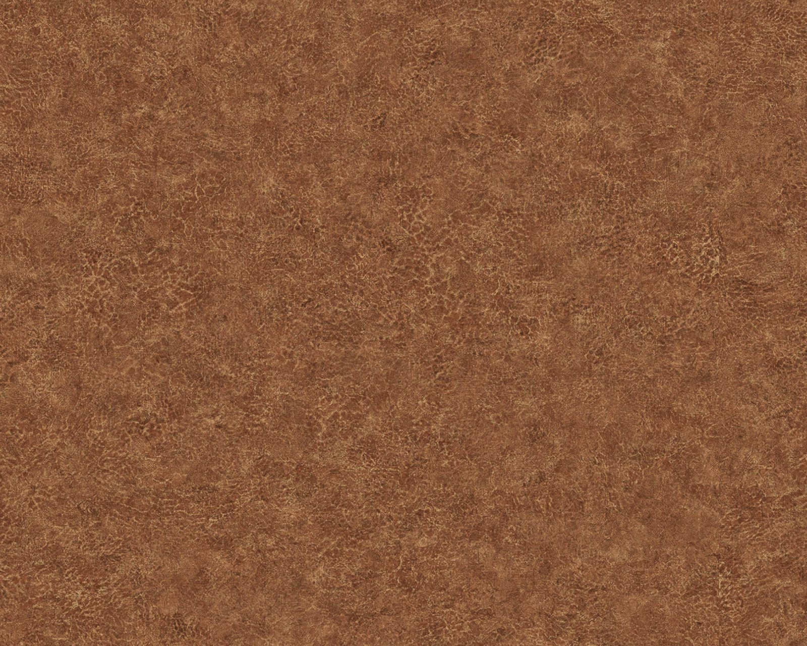 Elephant Leather, 64735606, Coordonne