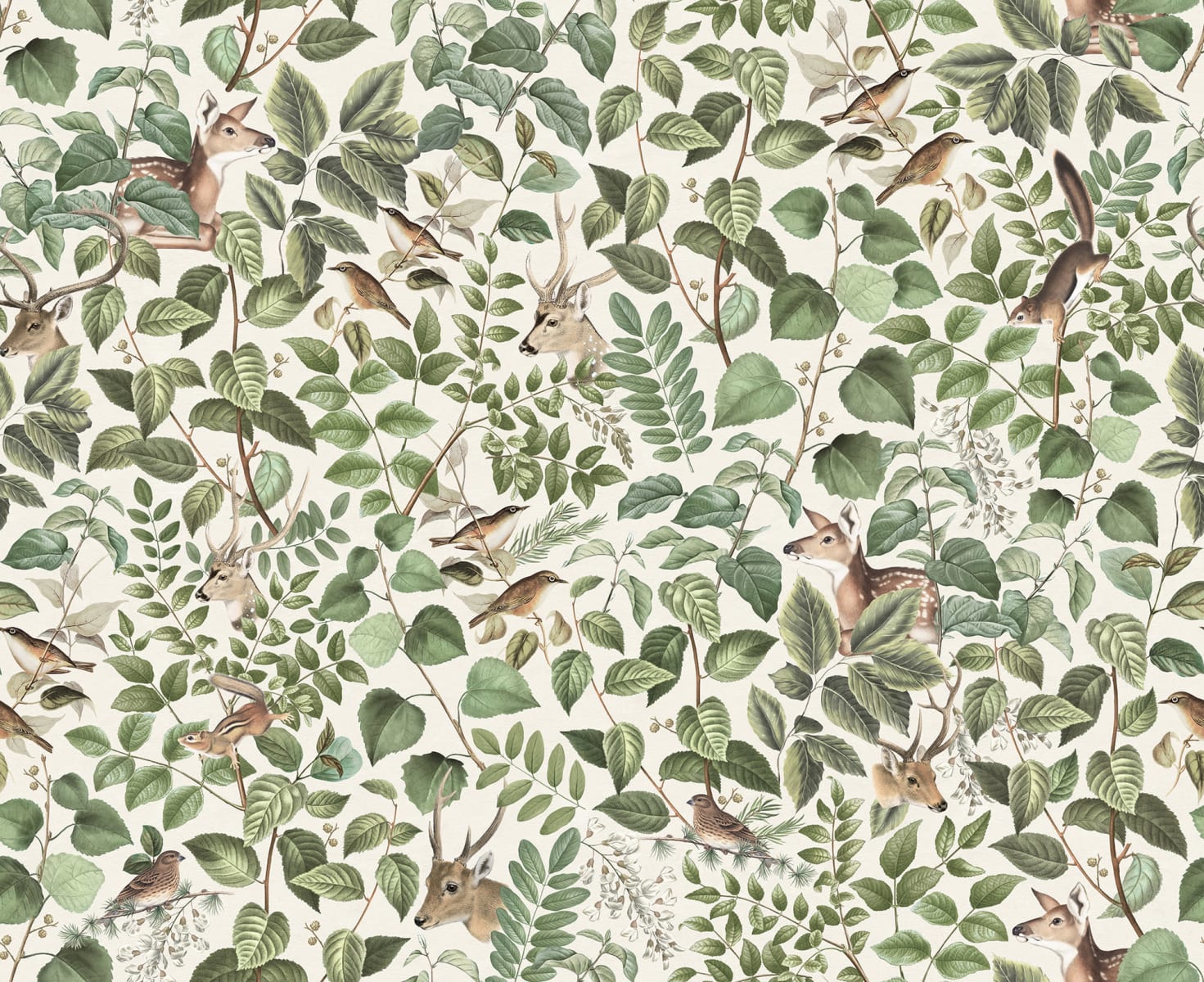 Forest Animals, Soft, Rebel Walls