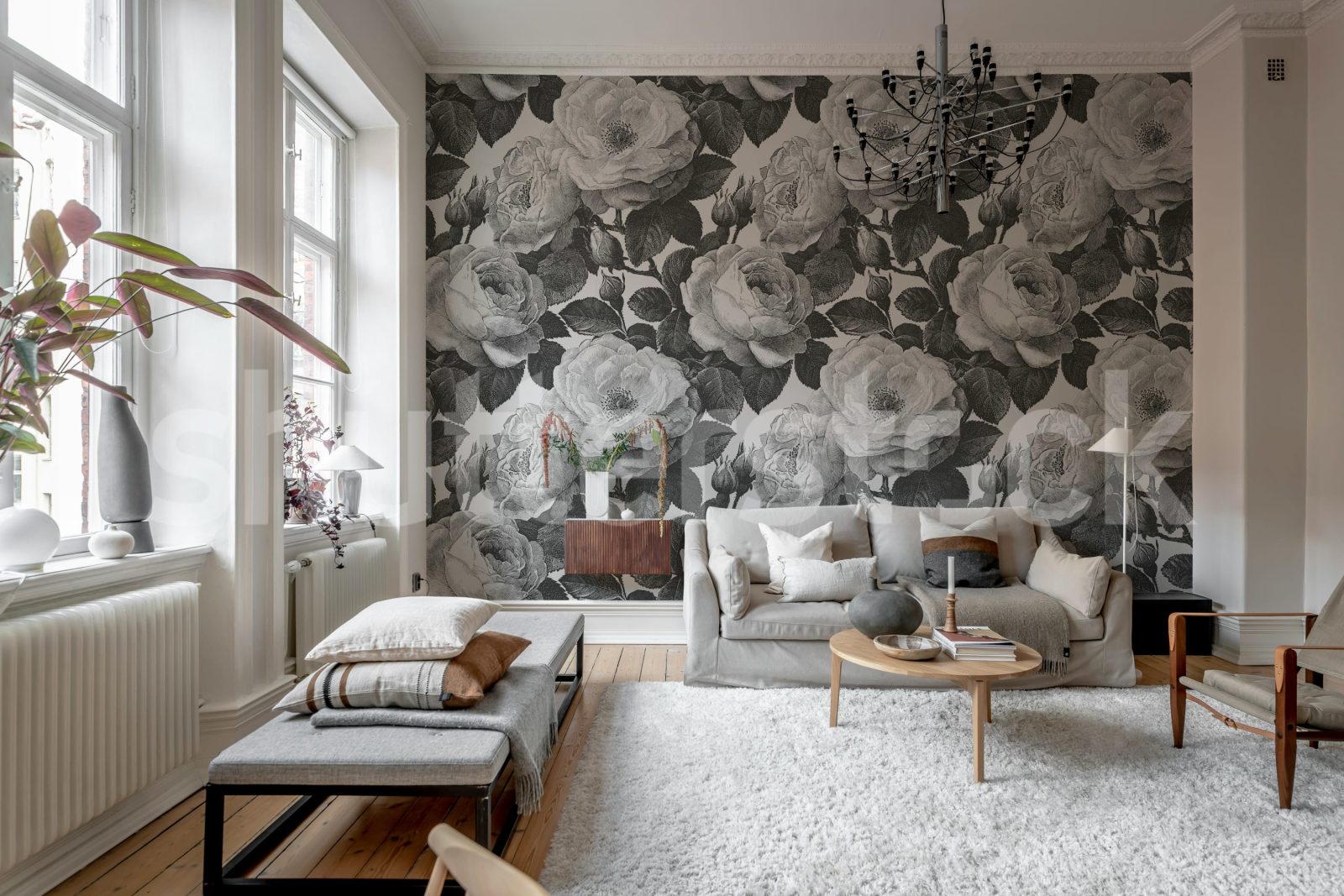 Bold Roses, Black & White, Rebel Walls 2