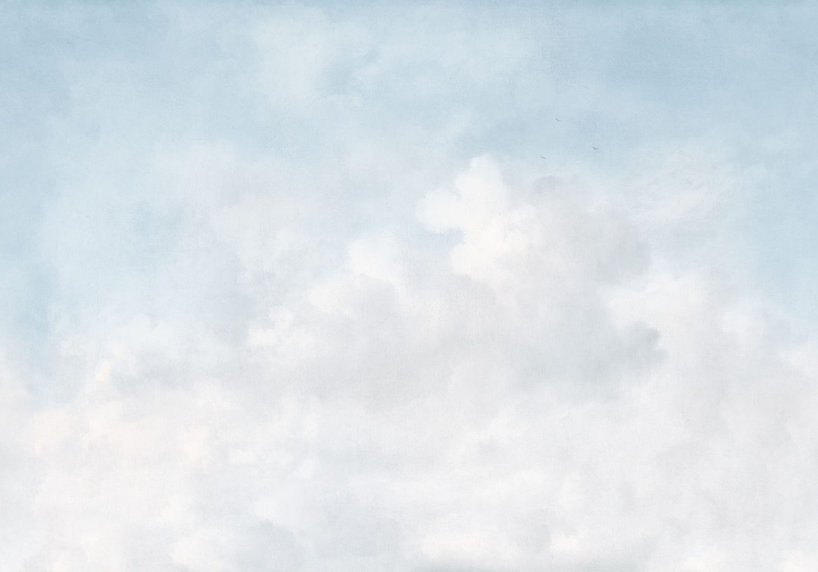 Vintage Clouds, Cloud Dancer, Rebel Walls