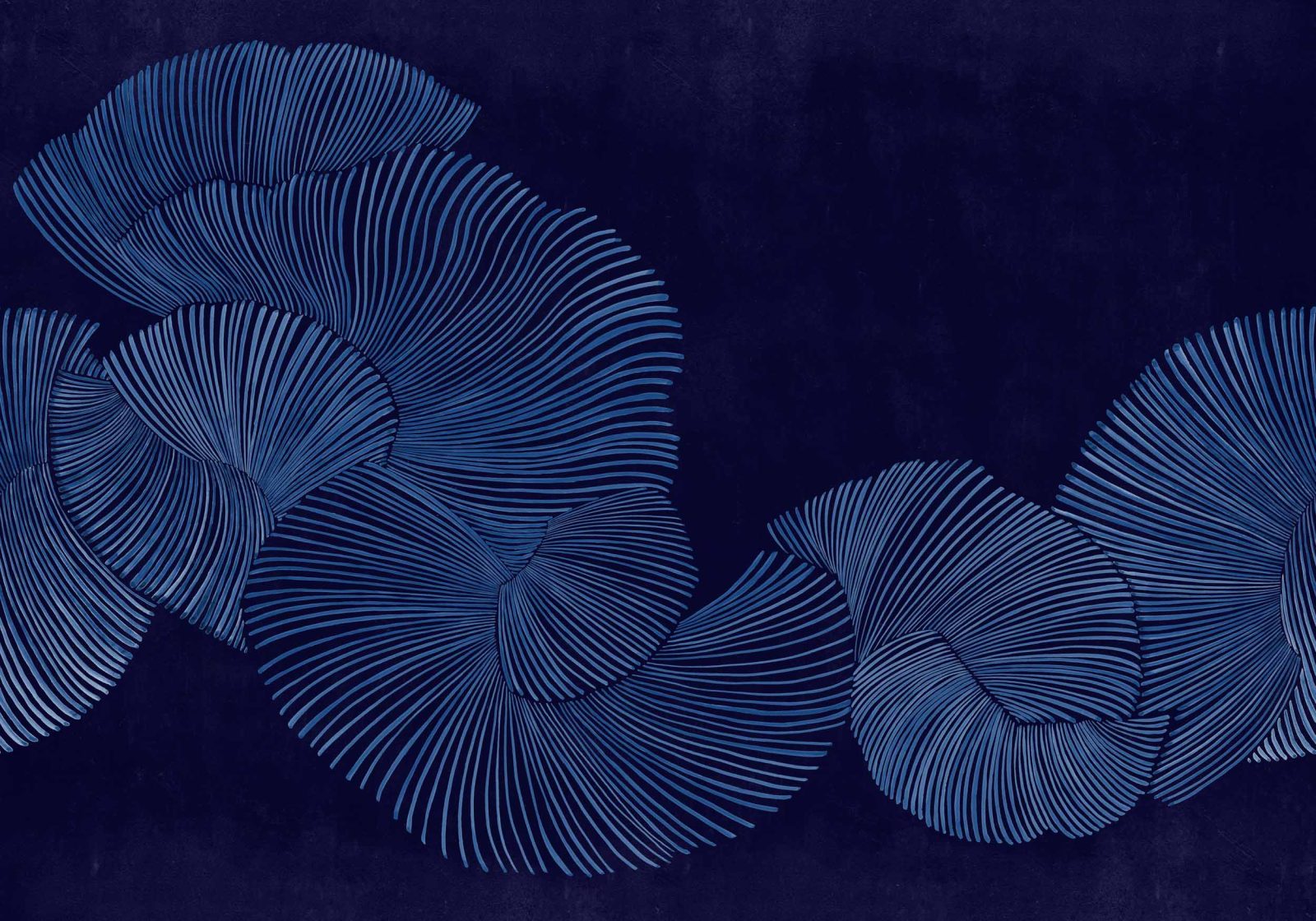 Diving Moment, Indigo, Coordonne